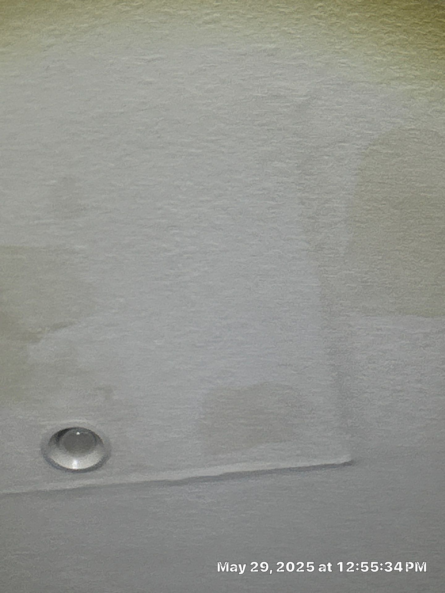 Water Damage Repair In Riverview by Ampm Restoration Services
