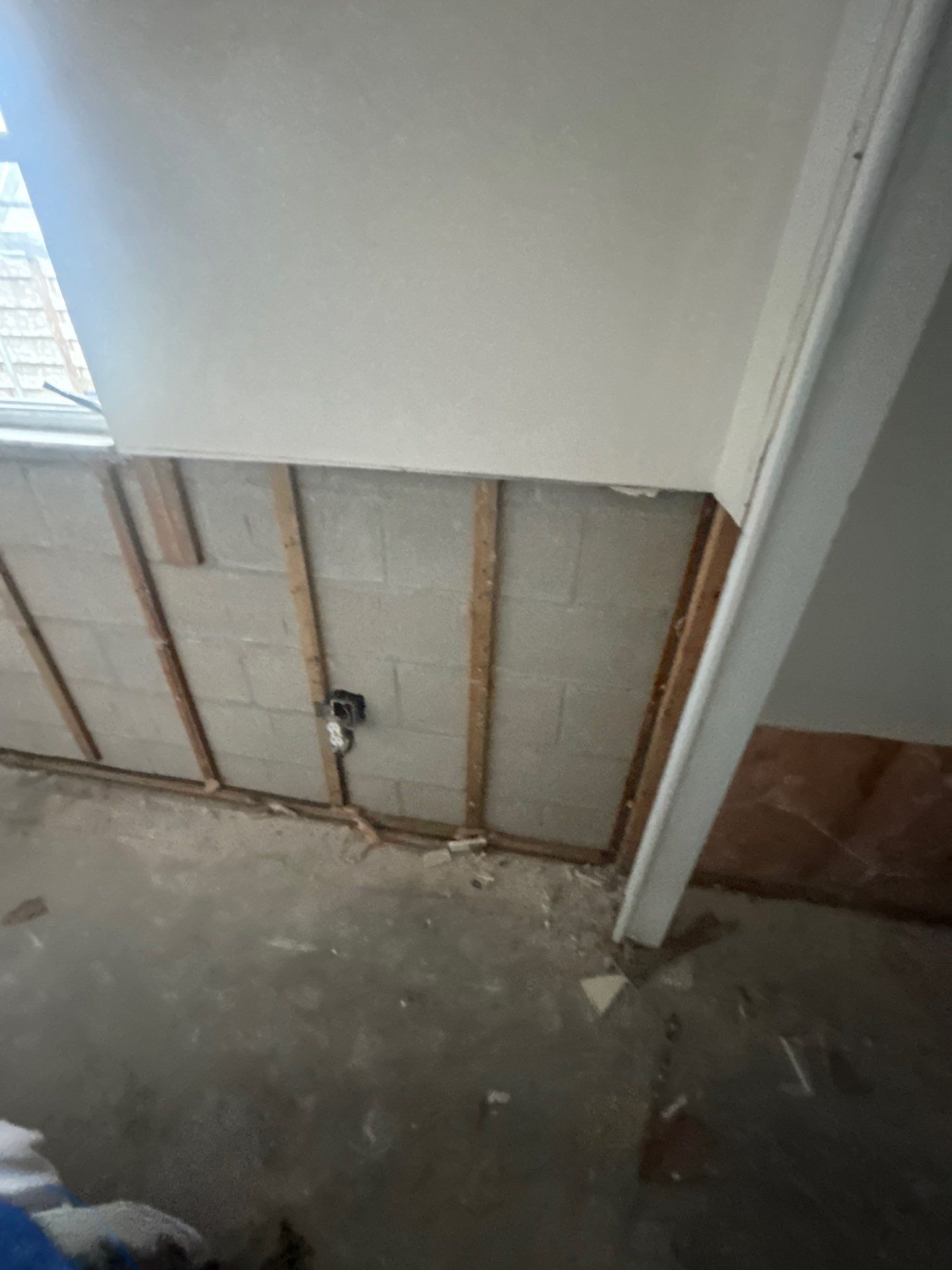 Mold Remediation In Sarasota by Ampm Restoration Services