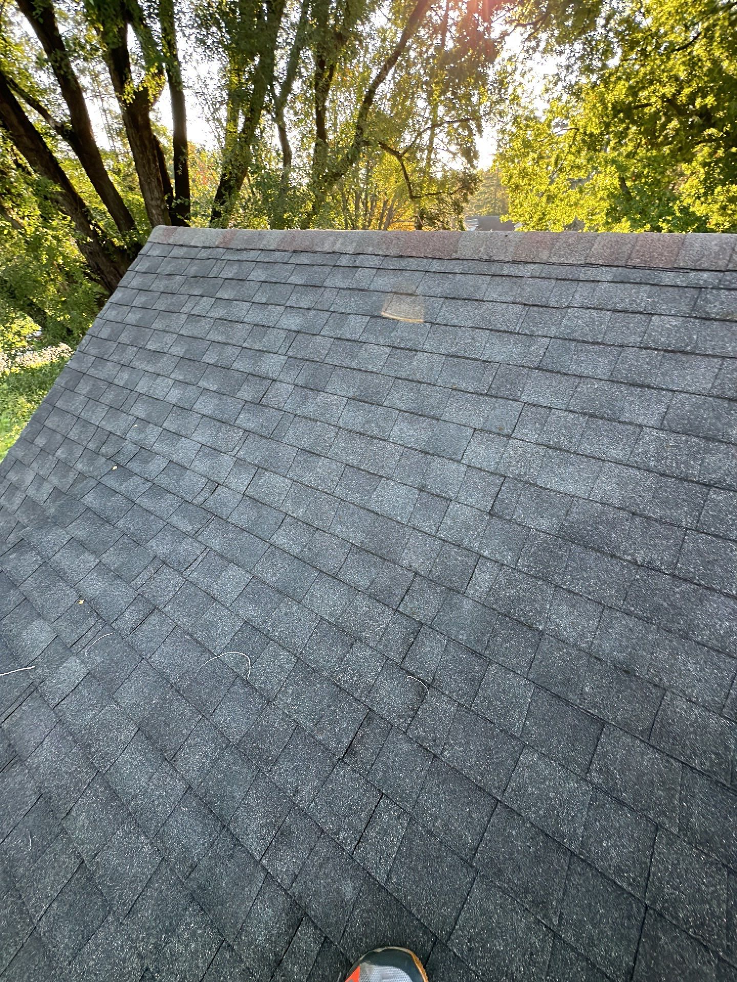 Merlot Shingles by Reimagine Roofing