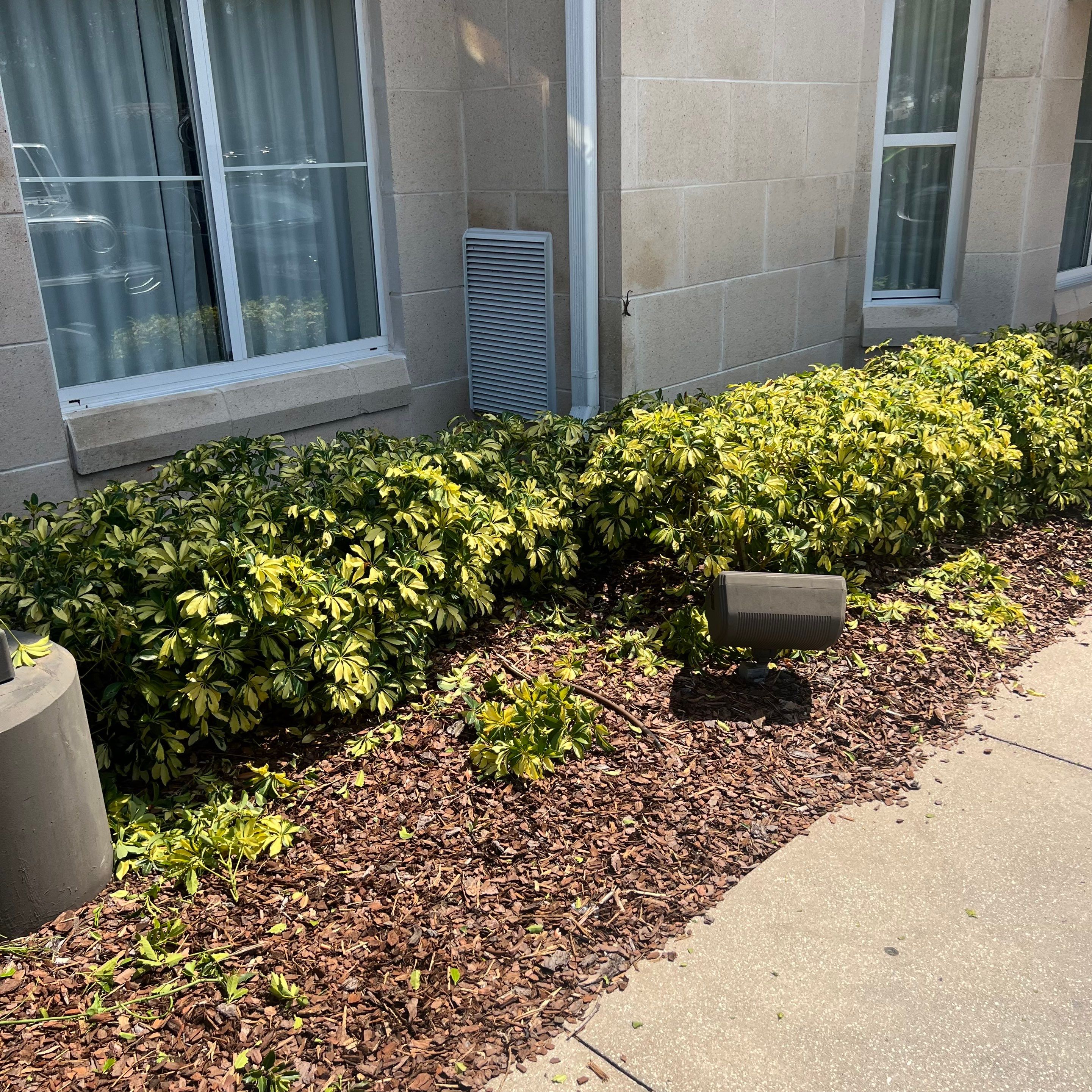 Homewood Suites | Tree Service by ProGreen Services