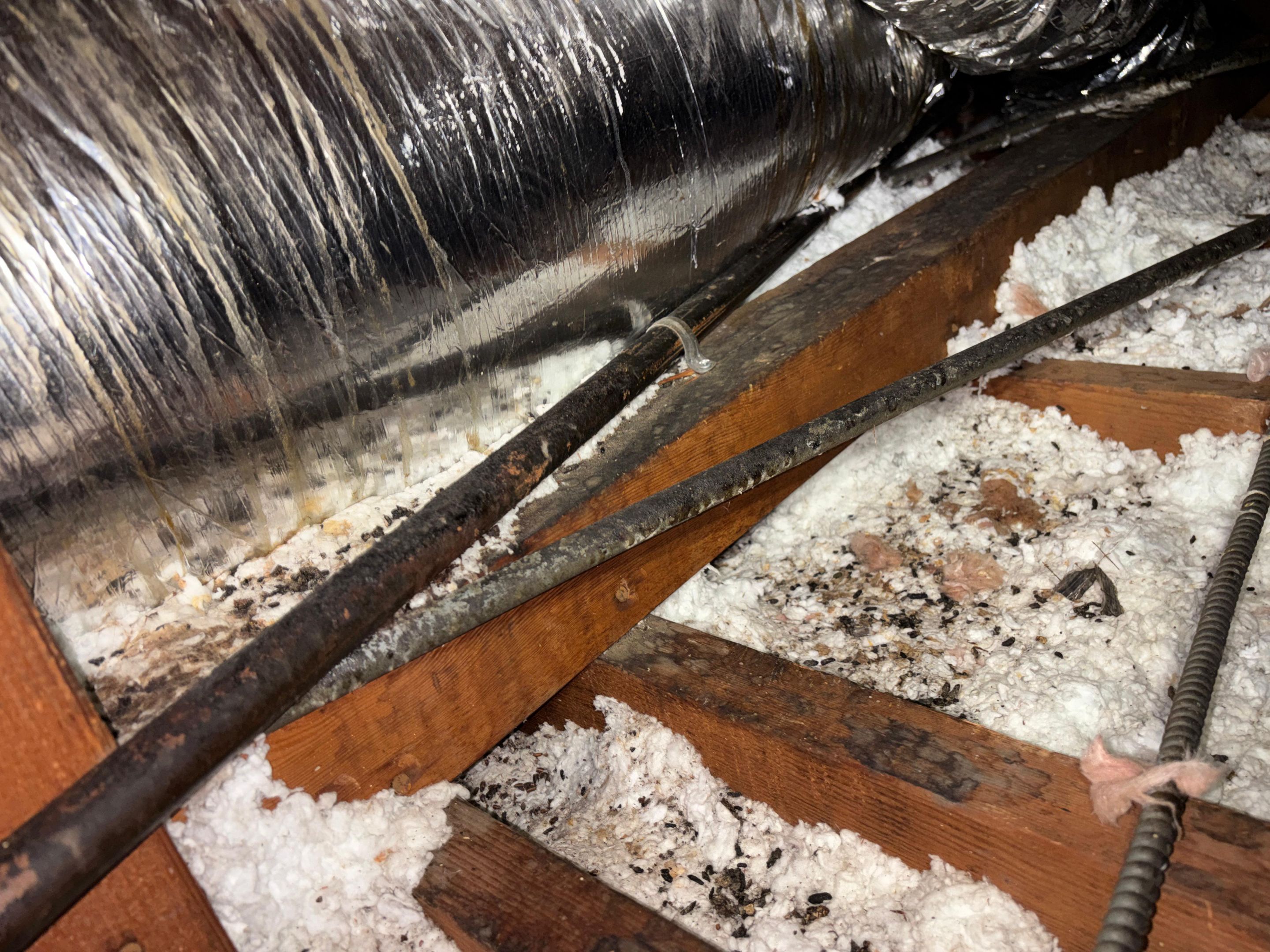 Project in Burbank by Insulation Labs