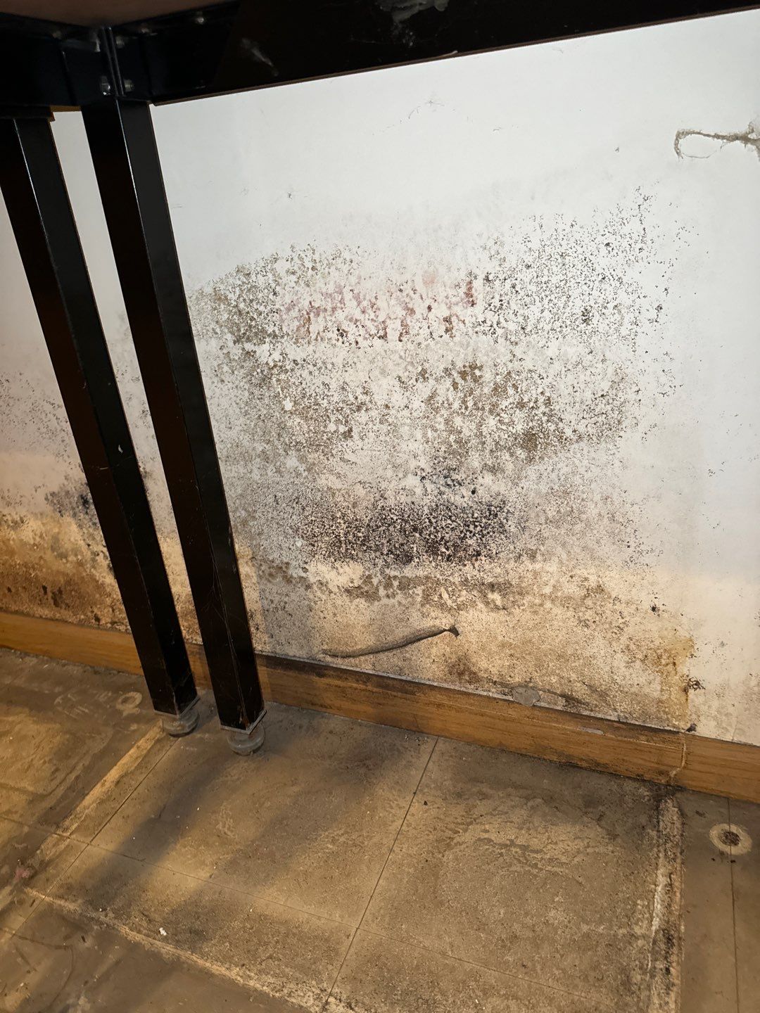 Water pipe break behind a wall by Chicagoland Water Medics