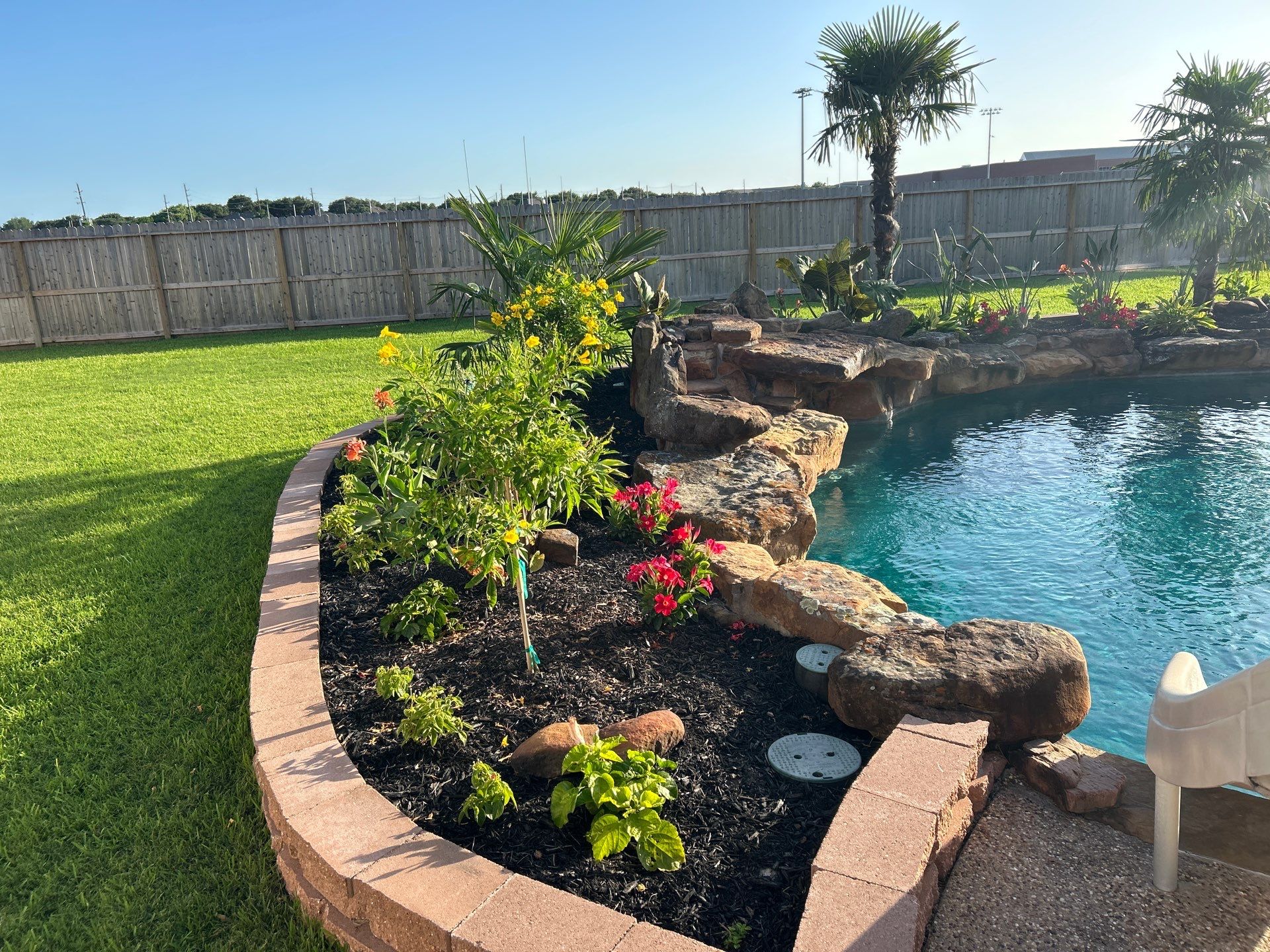 🌿 Larry Caudillo’s Poolside Landscape Revamp by Texas Urban Elements