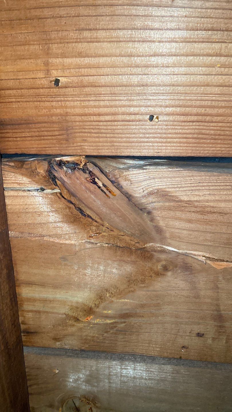 Arlington: CertainTeed Landmark Pro Designer Shingles in Max Def Shenandoah by RM Banning, Inc.