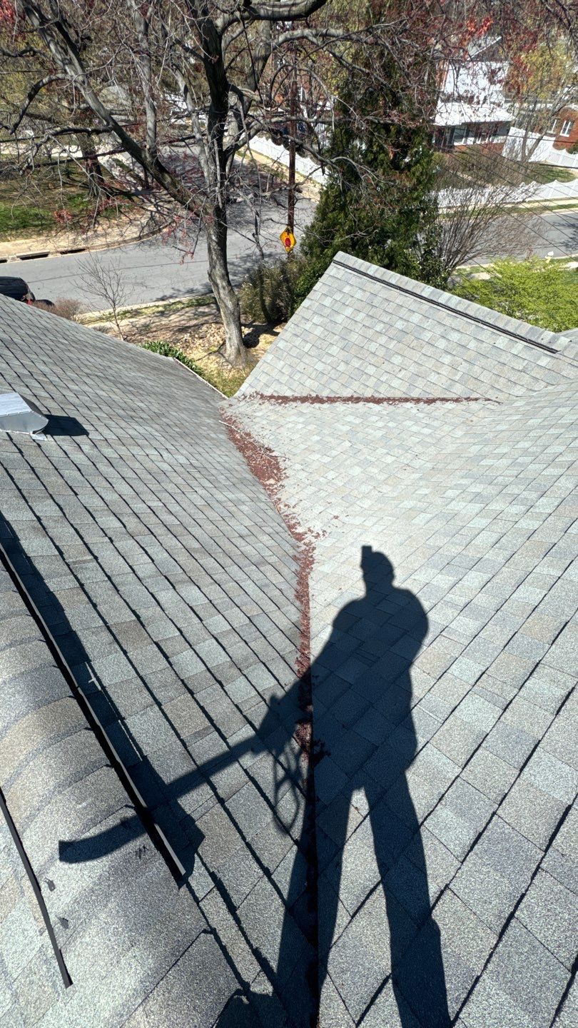 Alexandria: Mule Hide TPO Flat Roof by RM Banning, Inc.