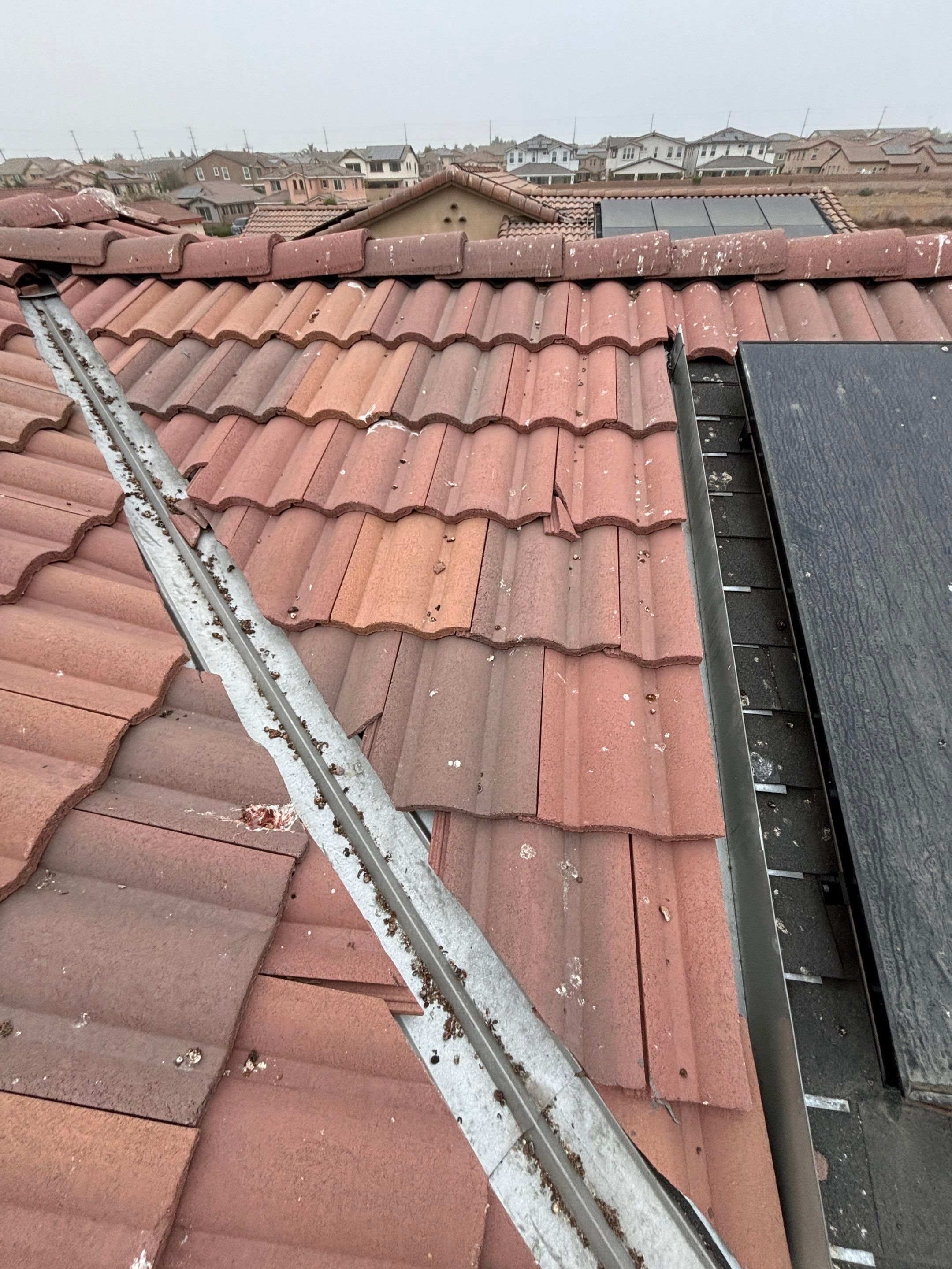 Solar Panel Bird Proofing in Fontana Ca by Palm Coast Solar Cleaning
