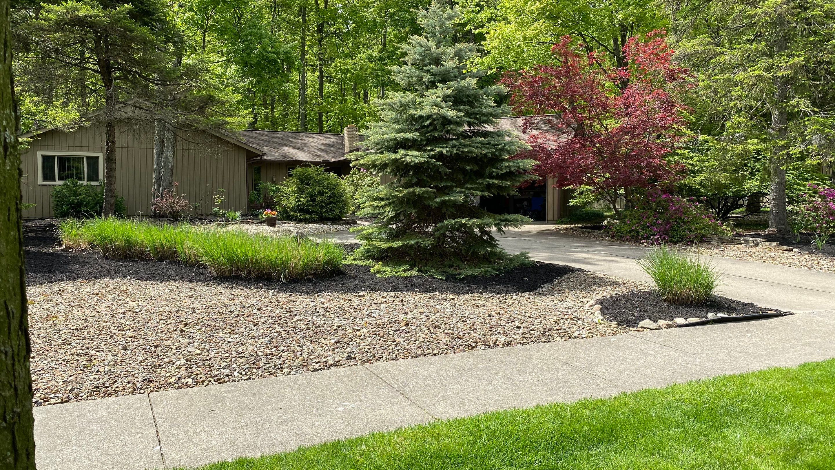 Mid-Century Woodland Project by Elm Rose Gardens