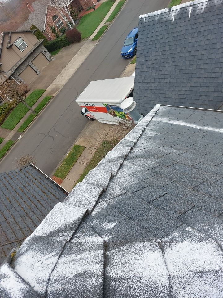 Roof Cleaning  using Moss Treatment  by BEST Roofing & Waterproofing