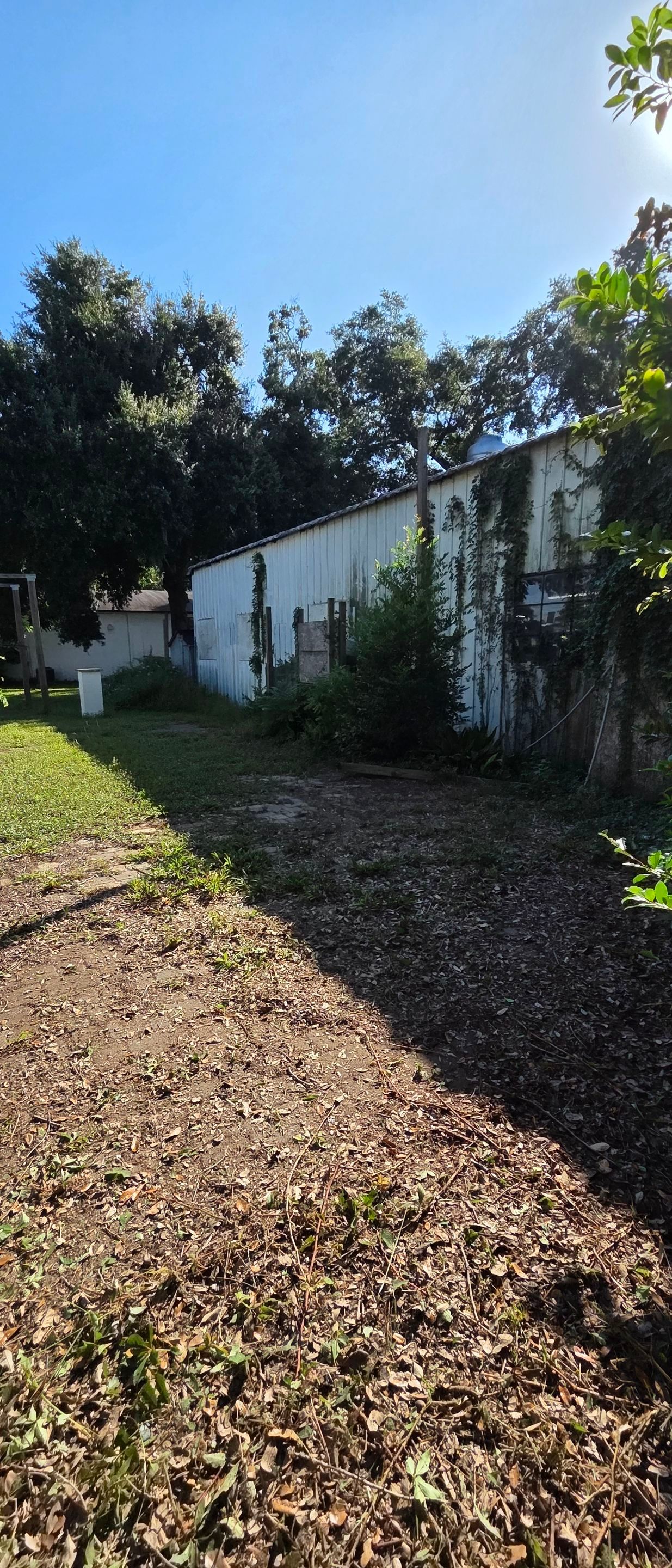 Commercial Property | Clean Up & Tree Removal by ProGreen Services