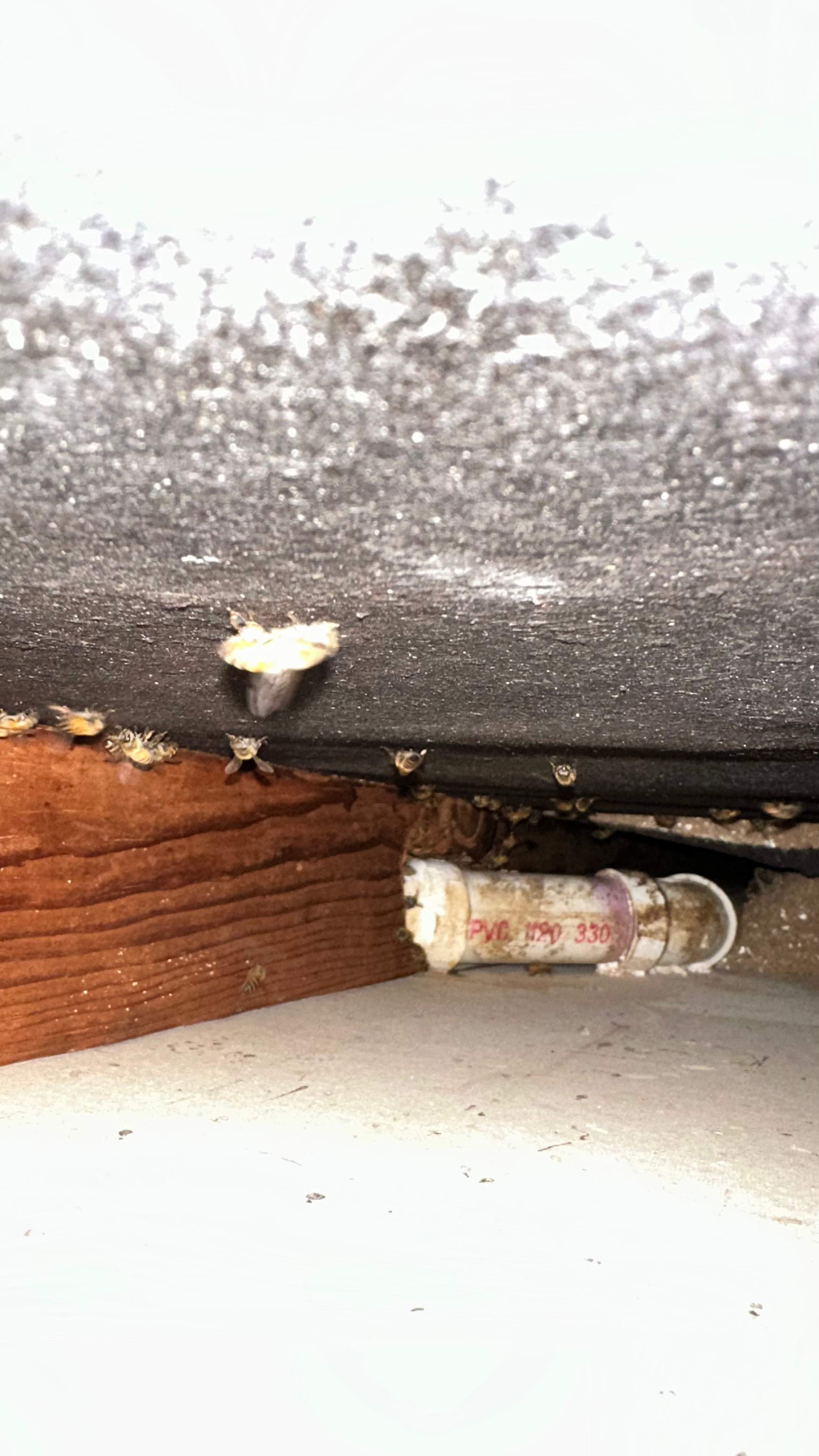 Laundry Room by Rockwall Honey Bee Company