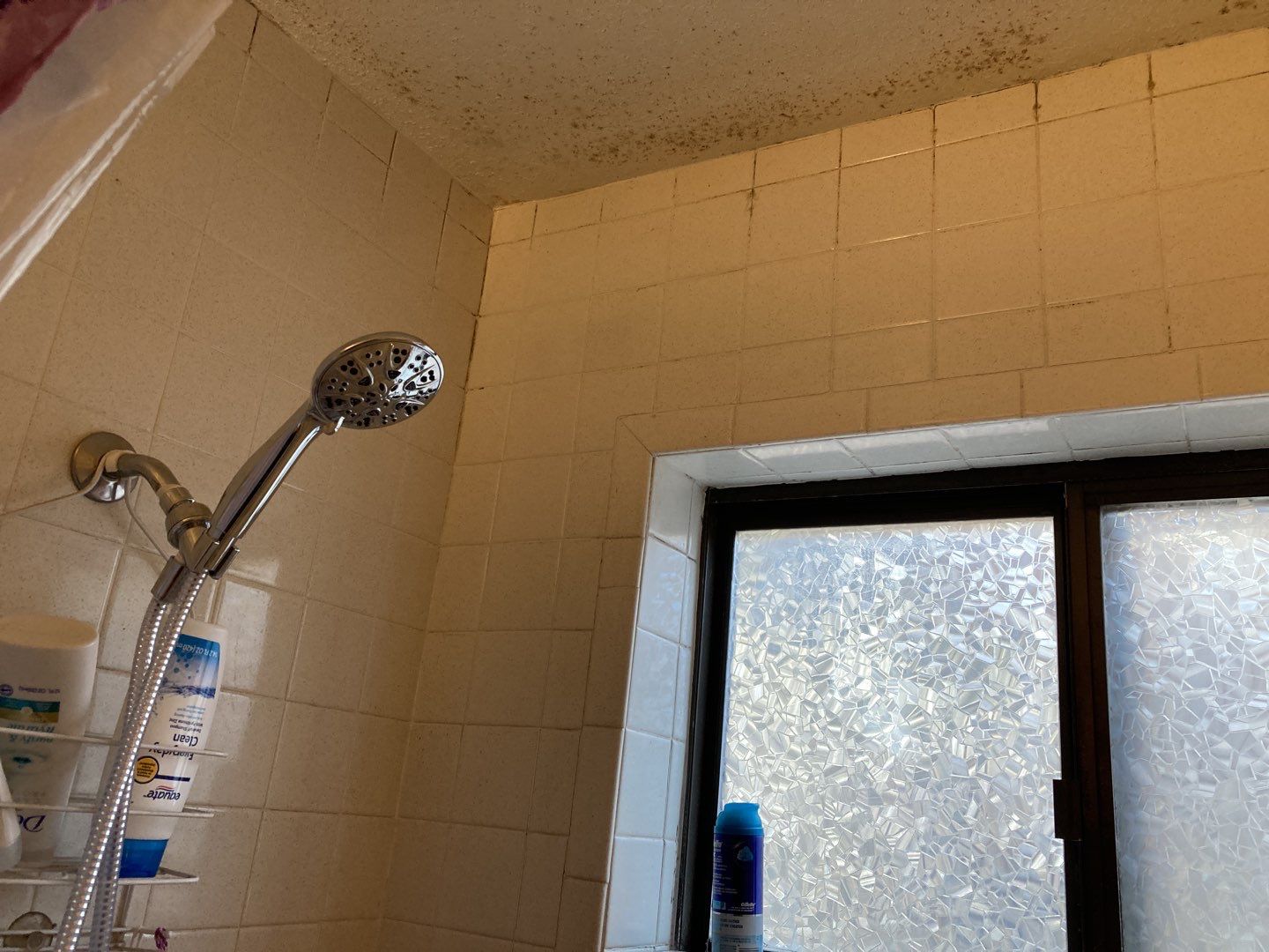 Mold Remediation in Bathroom by Accountable Home Services