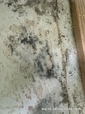 AC Leak Water Damage — Lehigh Acres, FL