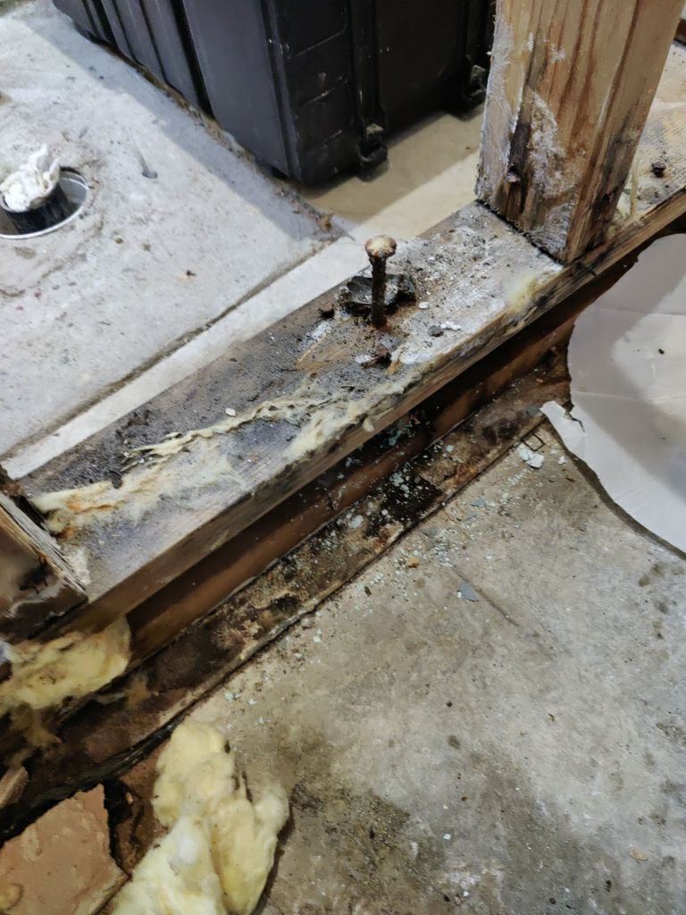 Mold Remediation by Accountable Home Services