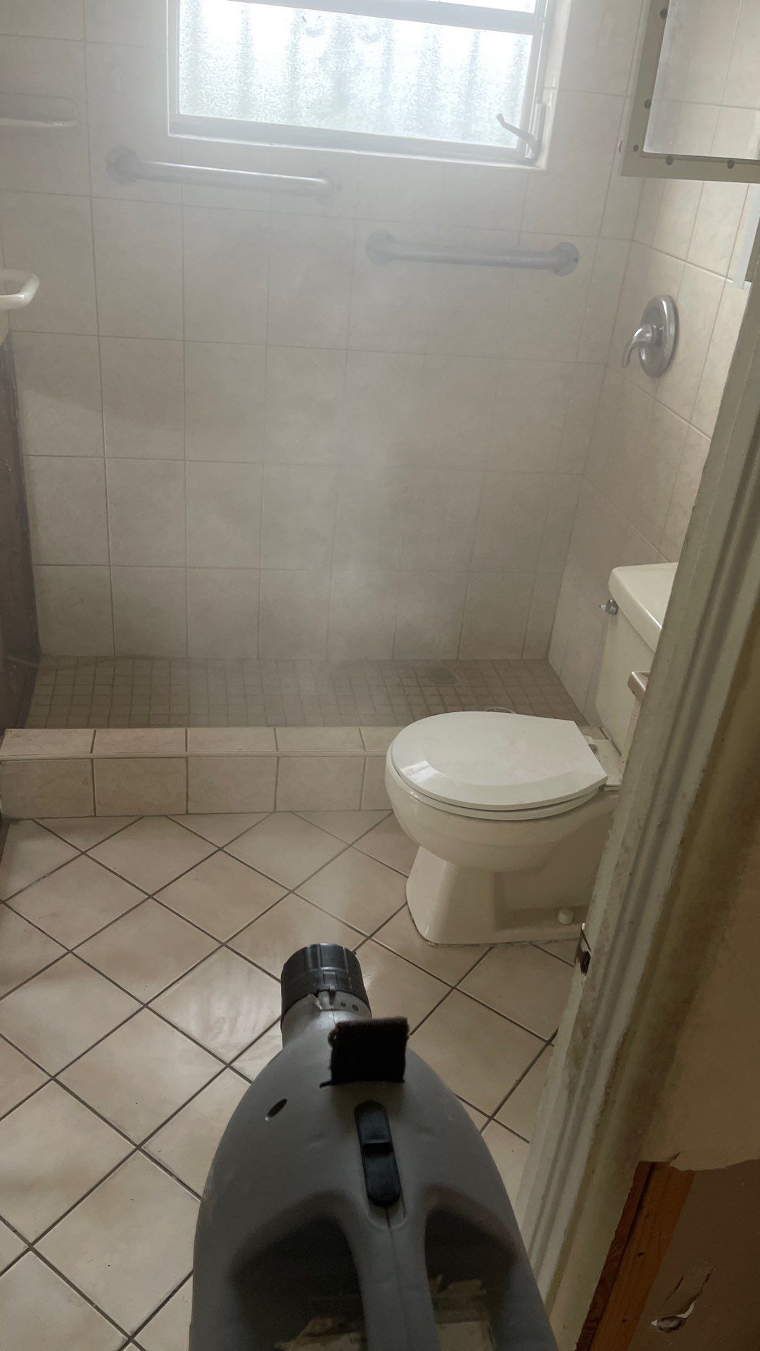 Mold Remediation  by THE RAPID TEAM