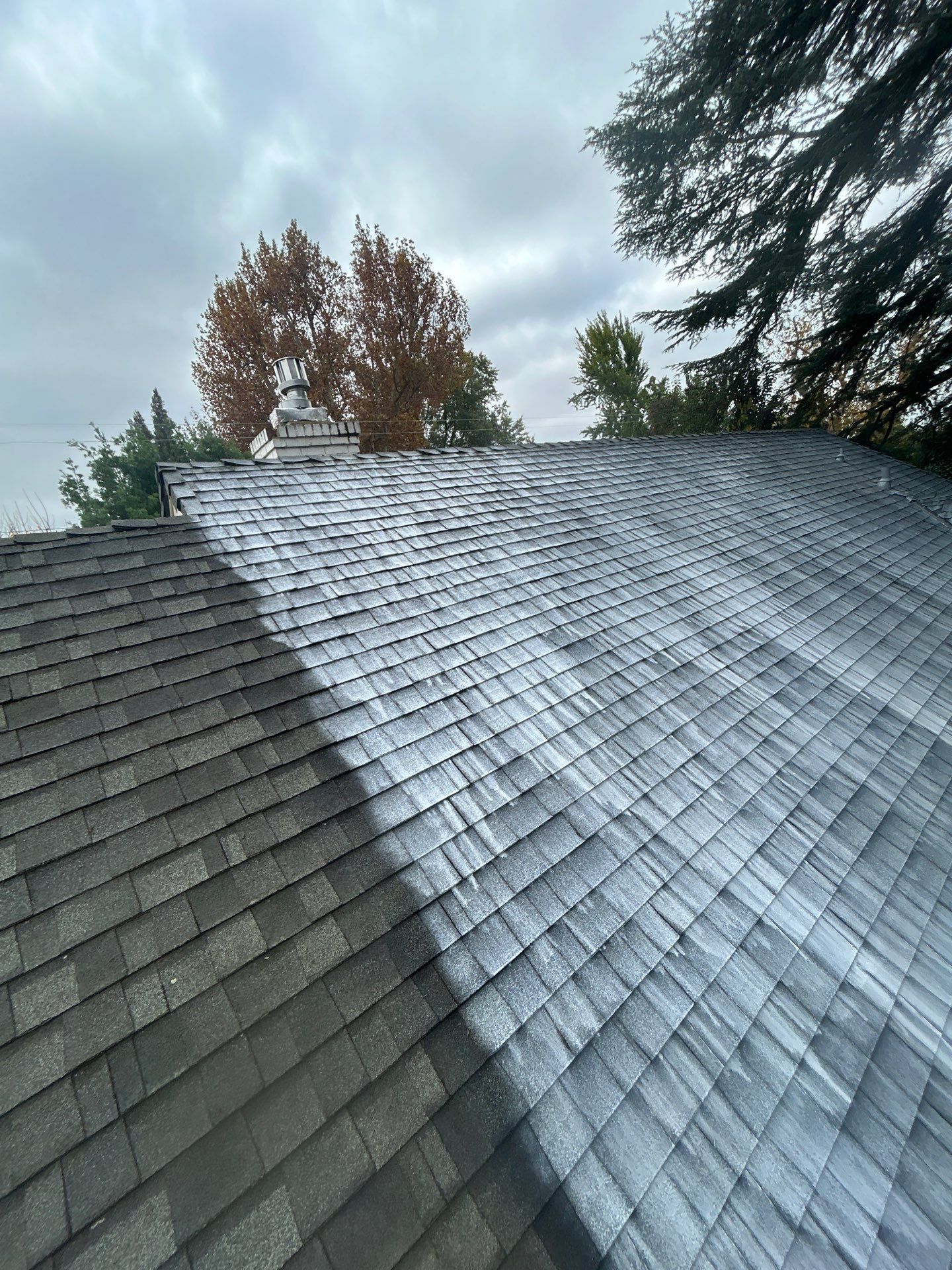 Roof Rejuvenation using Roof Maxx Treatment by Roof Maxx of Folsom
