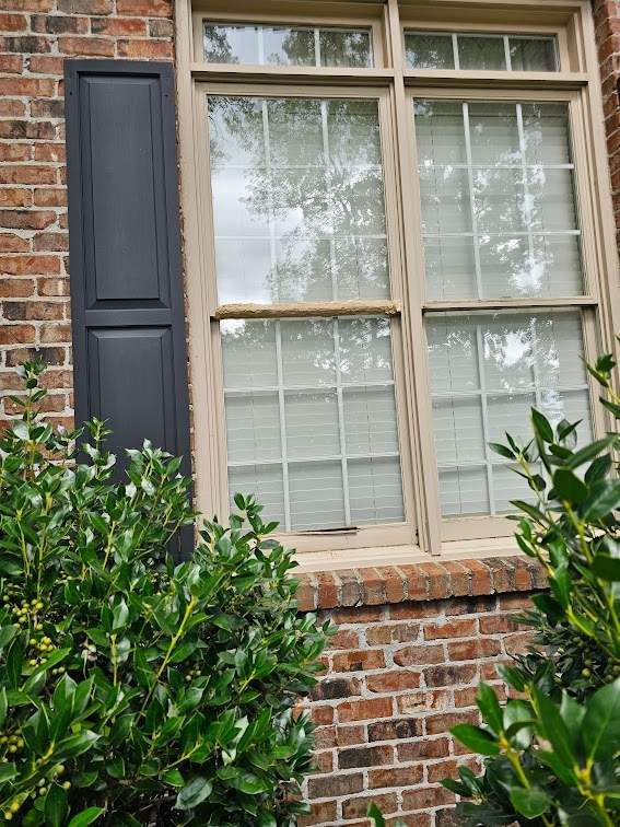 Dew Project in Hoover by The Window Source