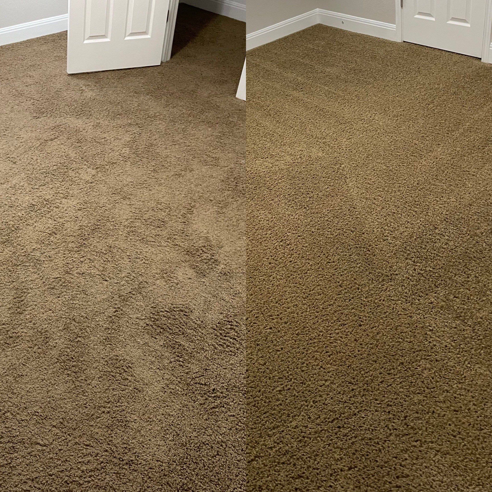 a carpet cleaning company is cleaning and refreshing the appearance of the carpet in this san antonio home