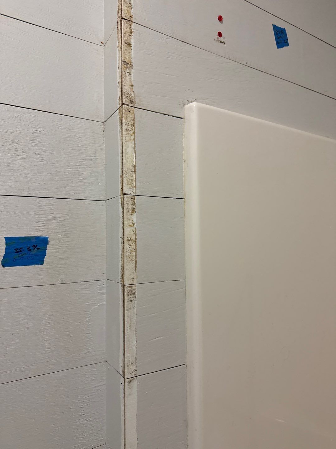 Bathroom and Crawlspace Water Damage and Mold by Healthy Home Solutions