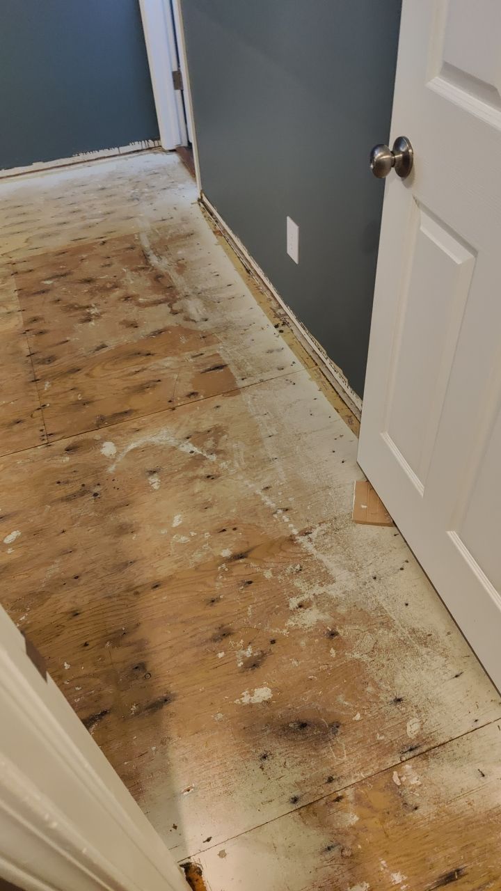 Water Damage  by Accountable Home Services