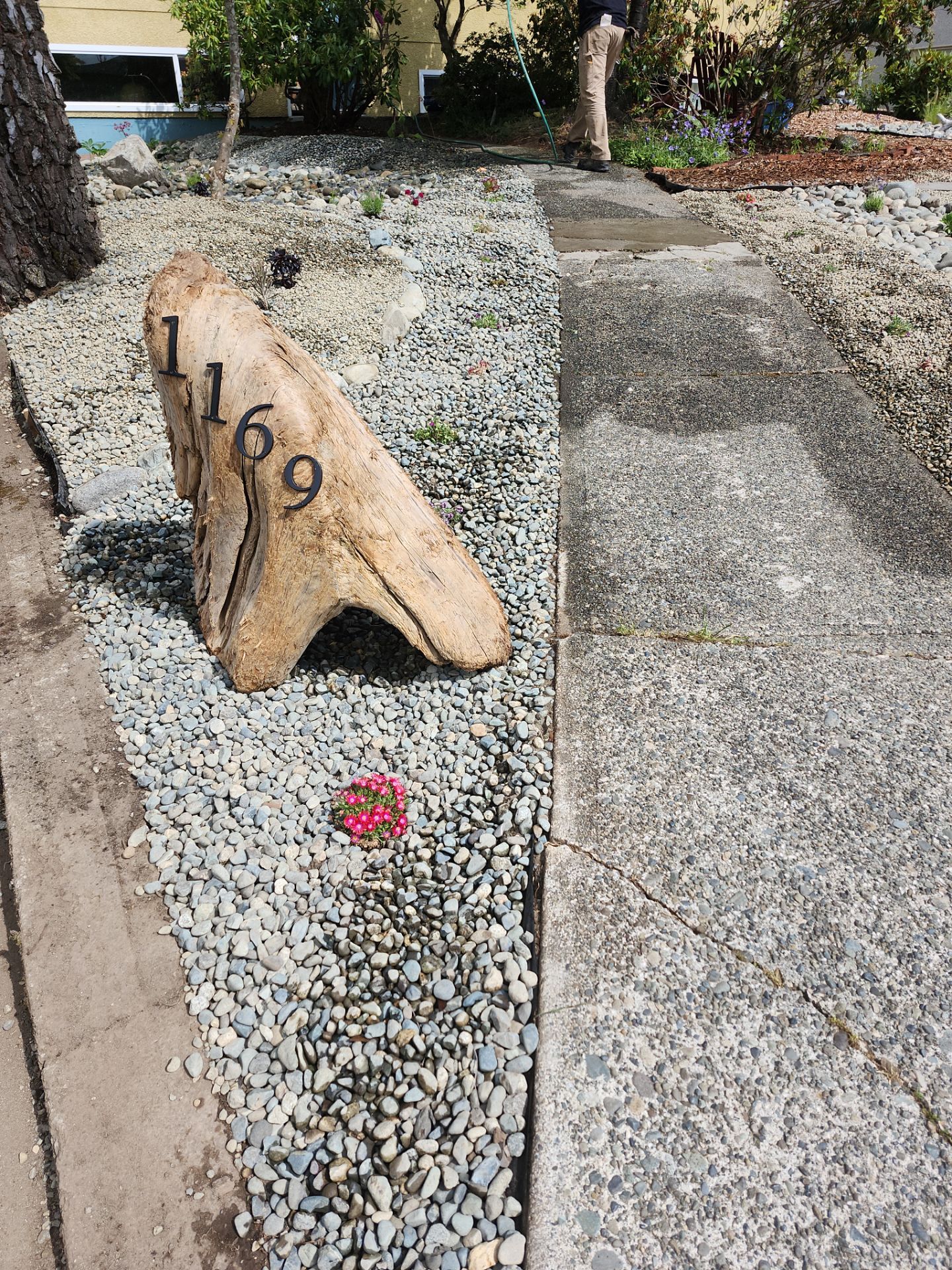 Front Yard Ecological Conversion – A West Coast-Inspired Low-Maintenance Oasis by Habanero Garden and Exterior Care