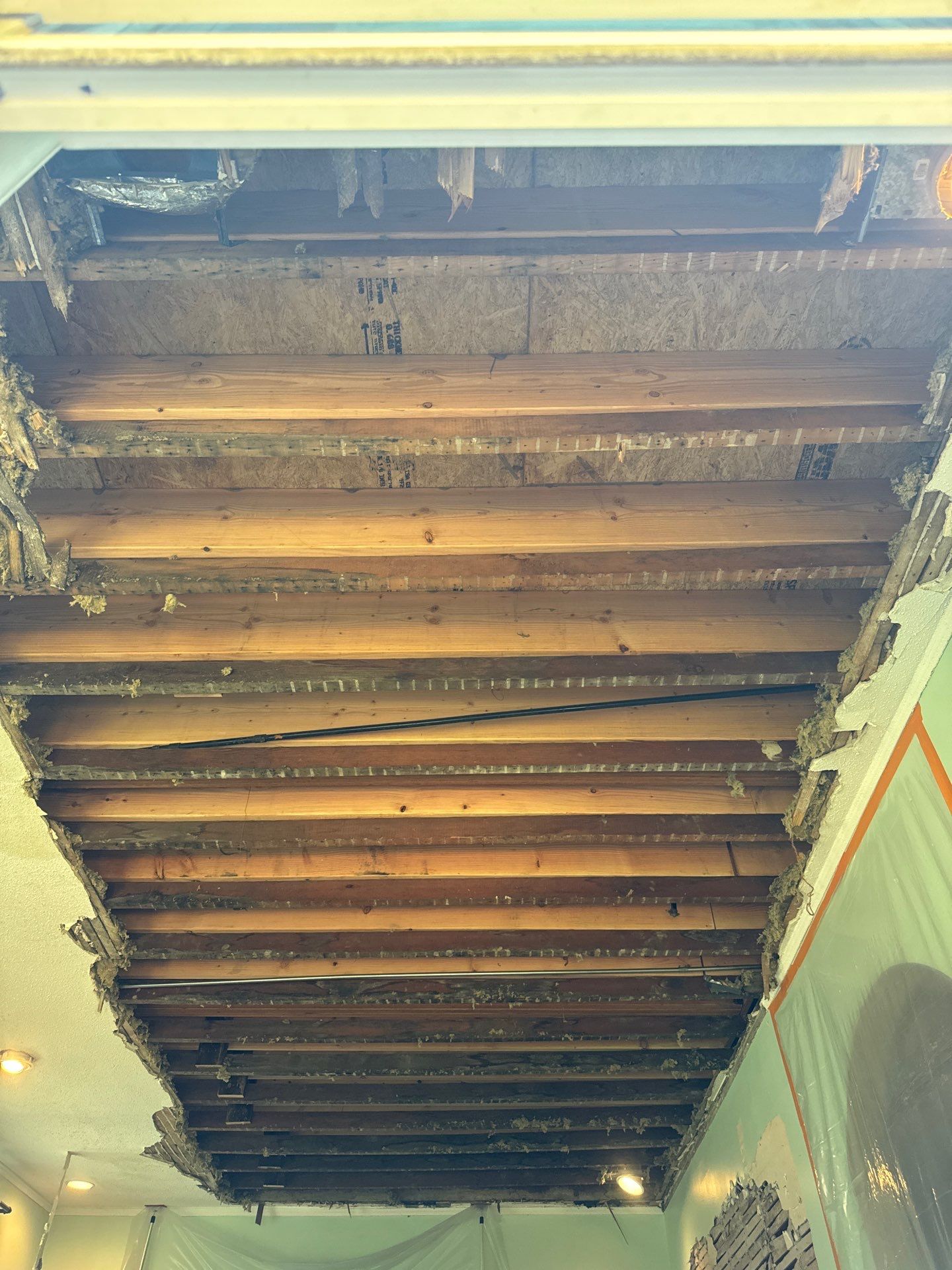 Storm Damage by Chicagoland Water Medics