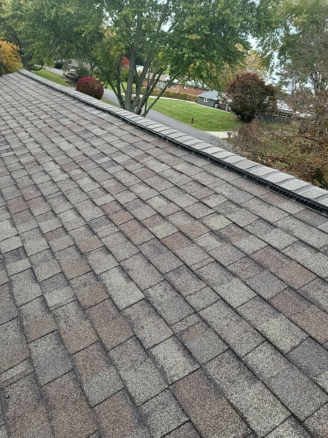 ATLAS PINNACLE COLOR: WEATHERWOOD DRIP EDGE: WHITE by Eagle Eye Roofing