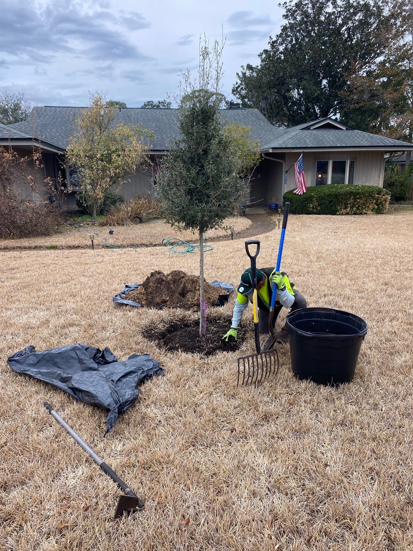 Deerwood Resident | Tree Install by ProGreen Services