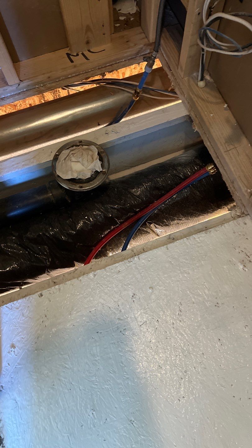 Mold Remediation by Accountable Home Services