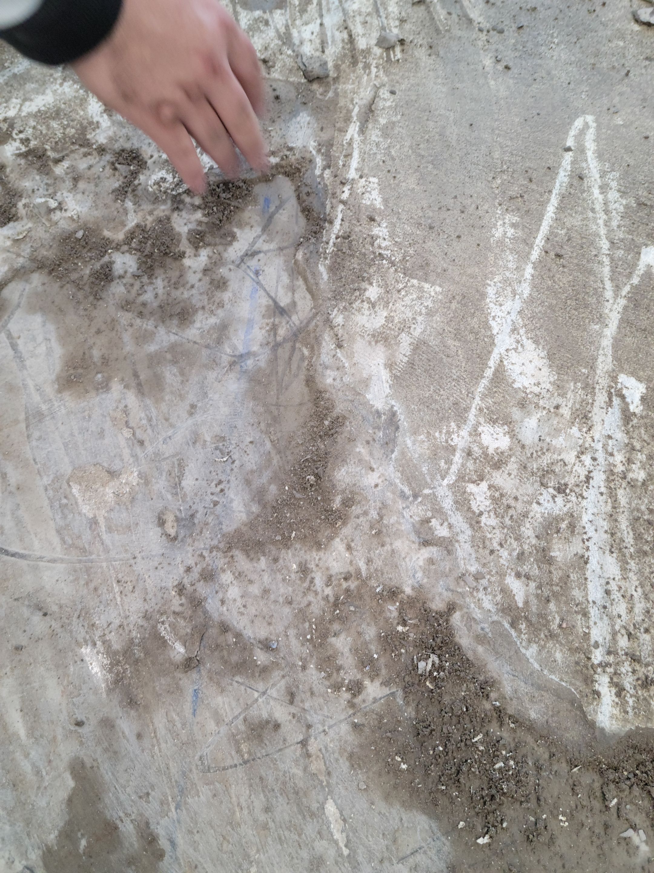 Harmony Science School by Sport Court Austin