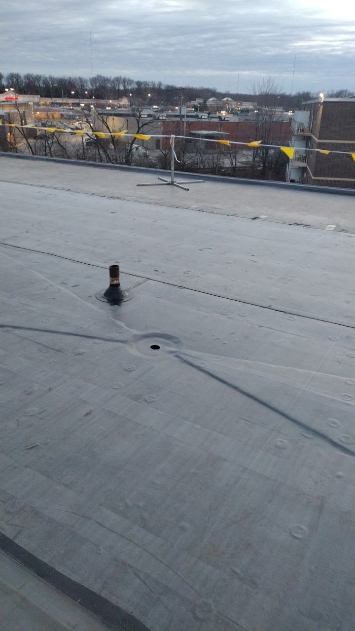 Commercial flat roof parma by Absolute Roofing and Construction