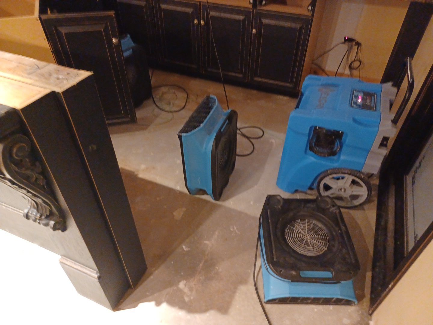 Project in Novi by EzDry Water Mitigation & Property Restoration