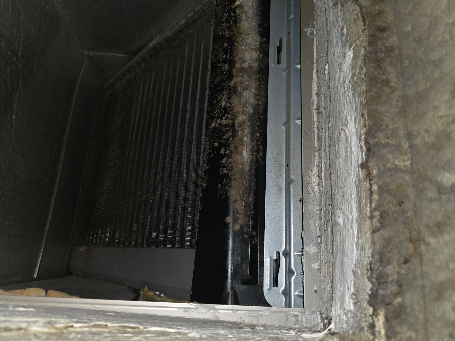 Duct Cleaning in Casselberry by Hygienic Air, Inc