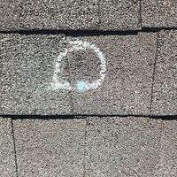 Project in Spring by Royal Crown Roofing 