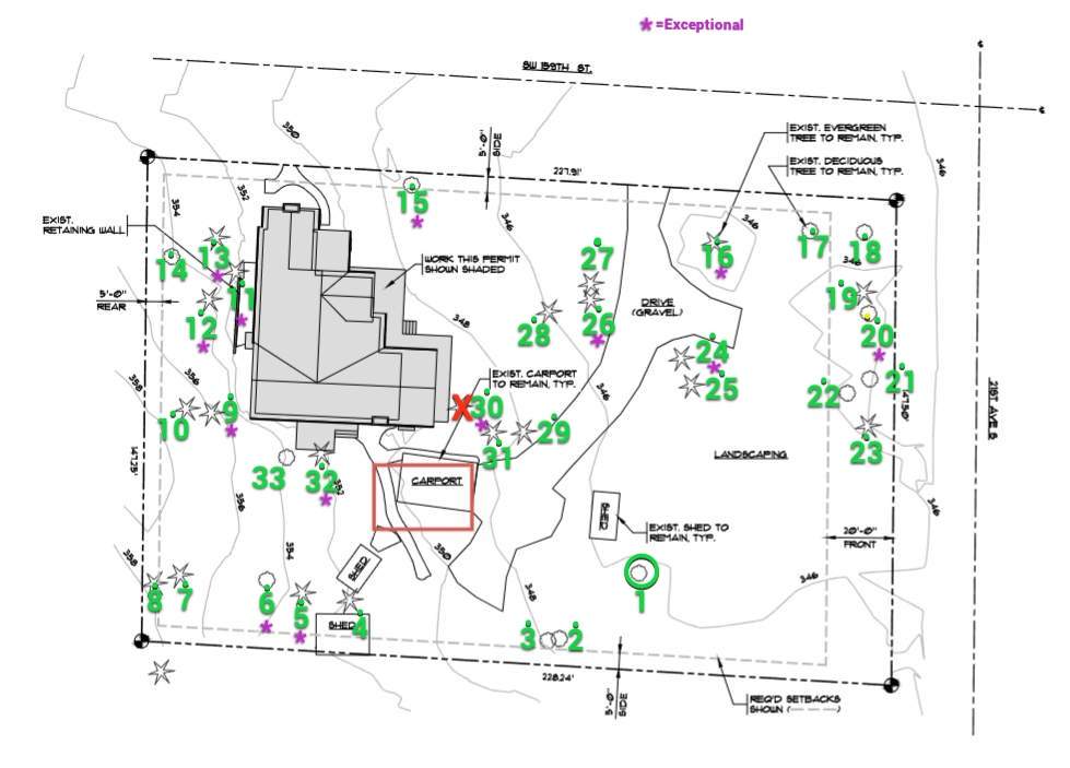π Arborist Reporting & Tree Surveying β Code Compliance Project by Sound Tree Care LLC