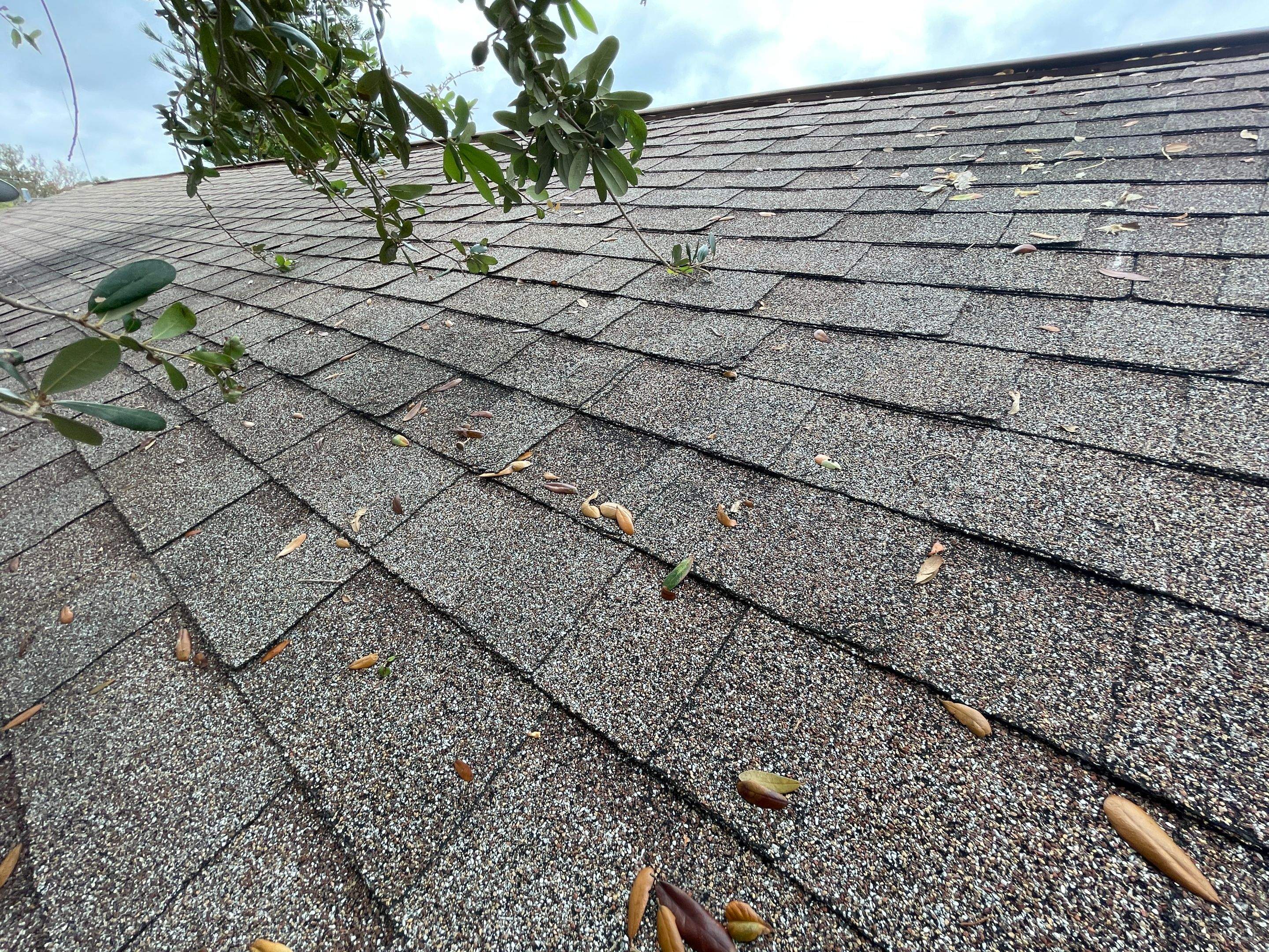Water Damage Claim in Holiday by FLAPA & KeyStone