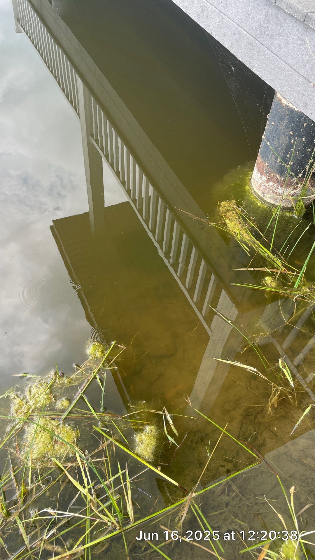 Maas Project by  Bellus Aquatic Solutions