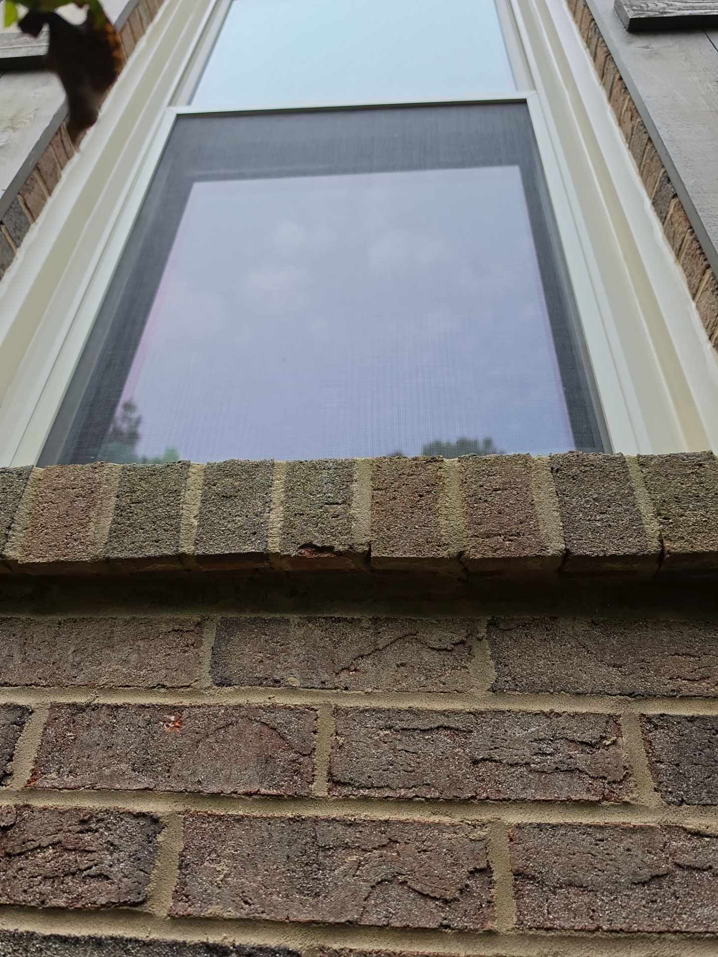 Bruner Project in Helena by The Window Source