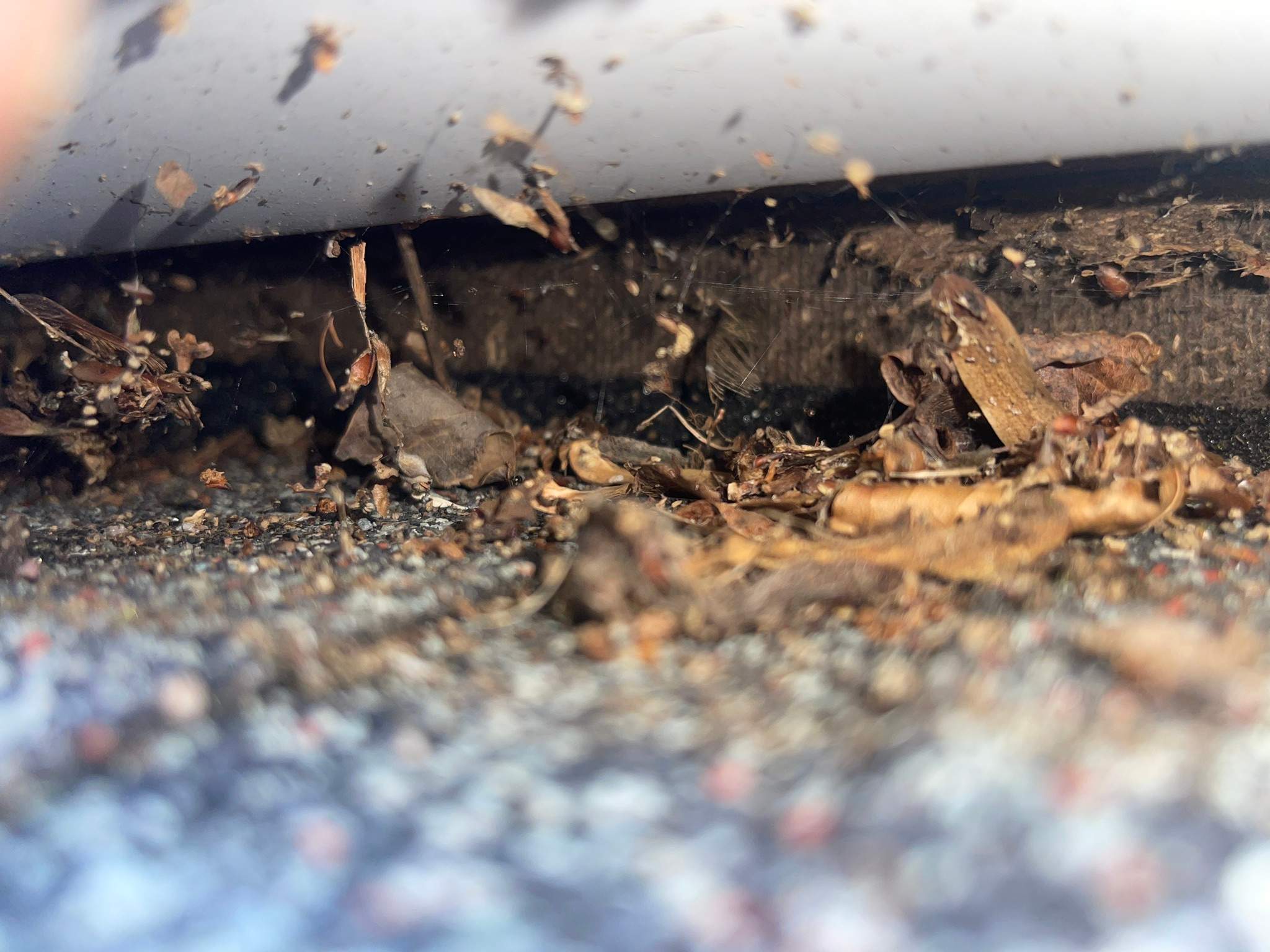 Residential Roofing Installation using Tamko Slatestone gray by A Plus Exterior