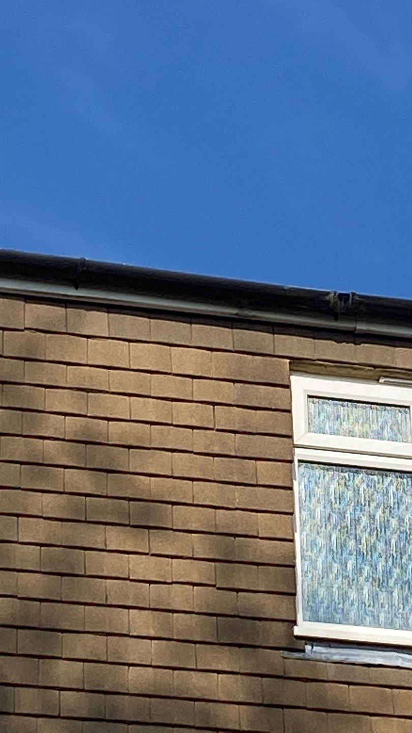 Roof Clean - Moss Removal using Honda 15lpm Low Pressure Washing Machine by Ges Exterior Cleaning ltd