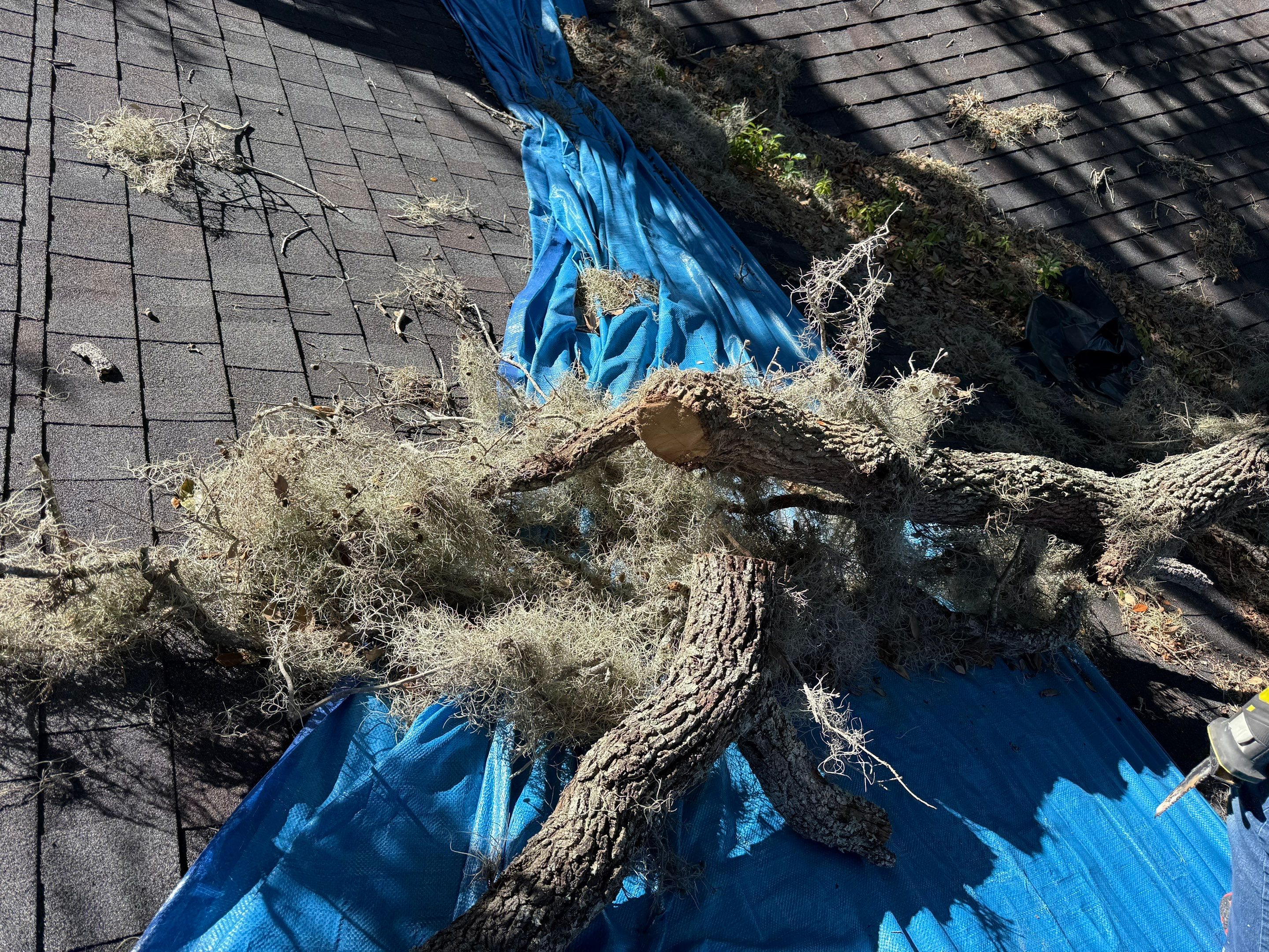 Project in Lakeland by You Restorations LLC DBA YOU-Home