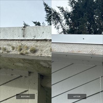 Workshop Exterior Transformation – Warrenton