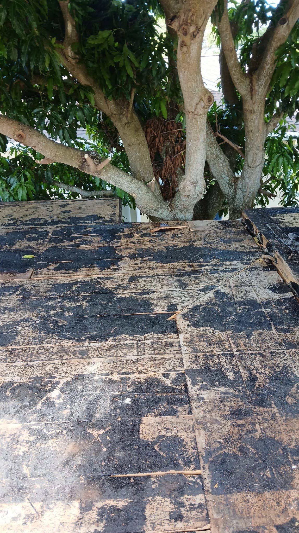 Project in Largo 33774 by Mitchell Roofing Company LLC 