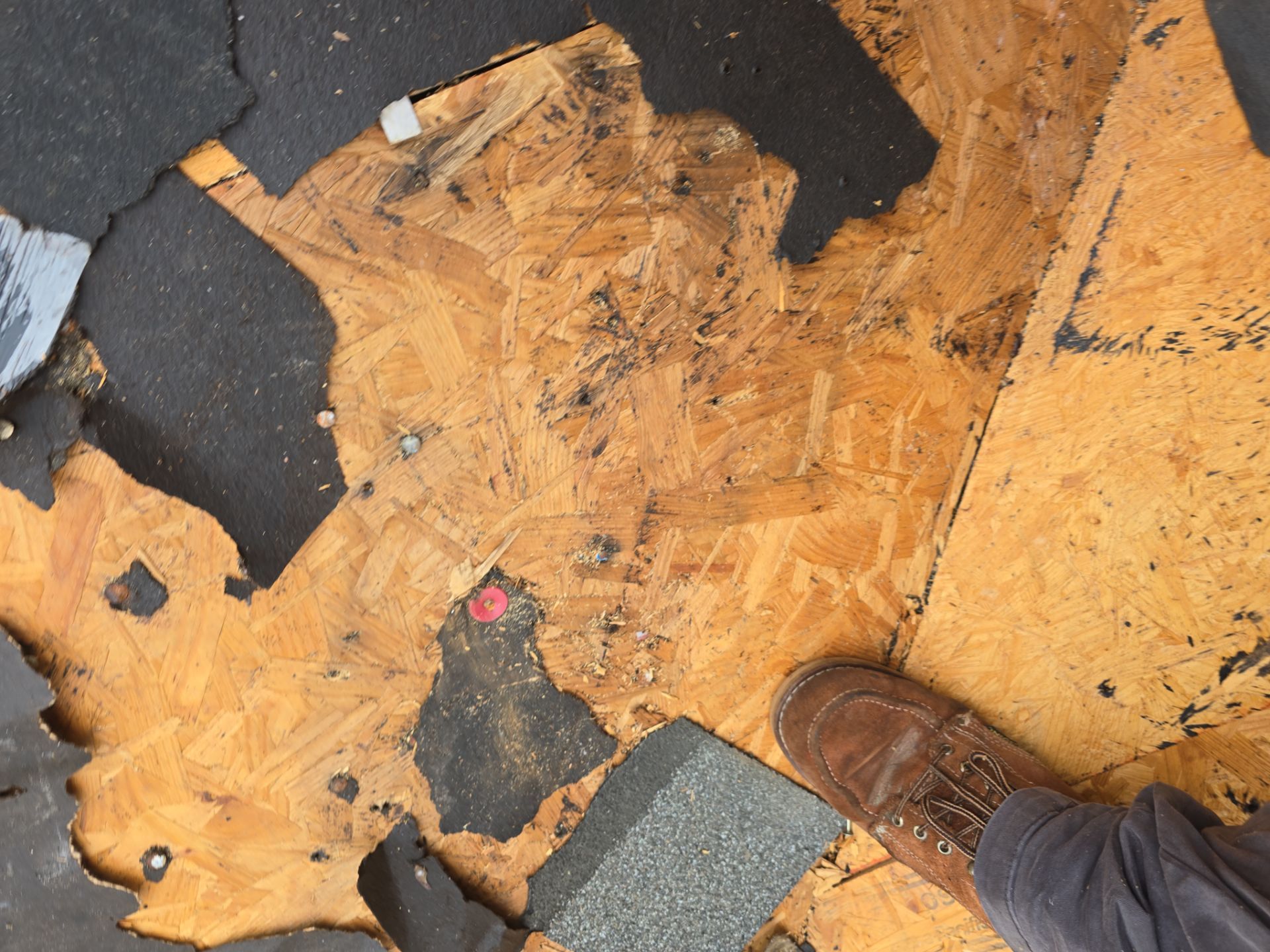 Roof Replacement Houston by Roof Repair Services LLC