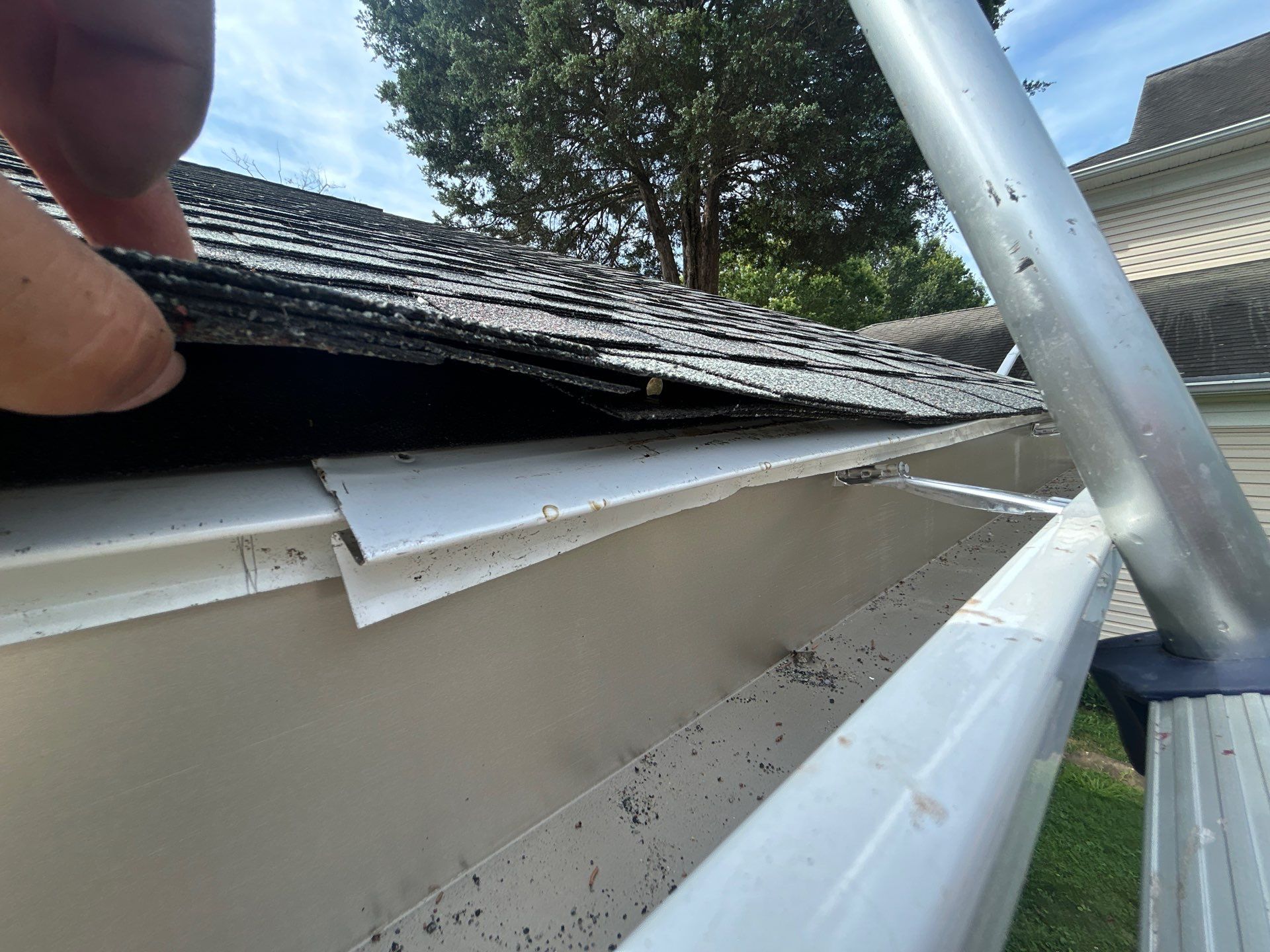 Falls Church: with CertainTeed Landmark Pro in Max Def Colonial Slate  by RM Banning, Inc.