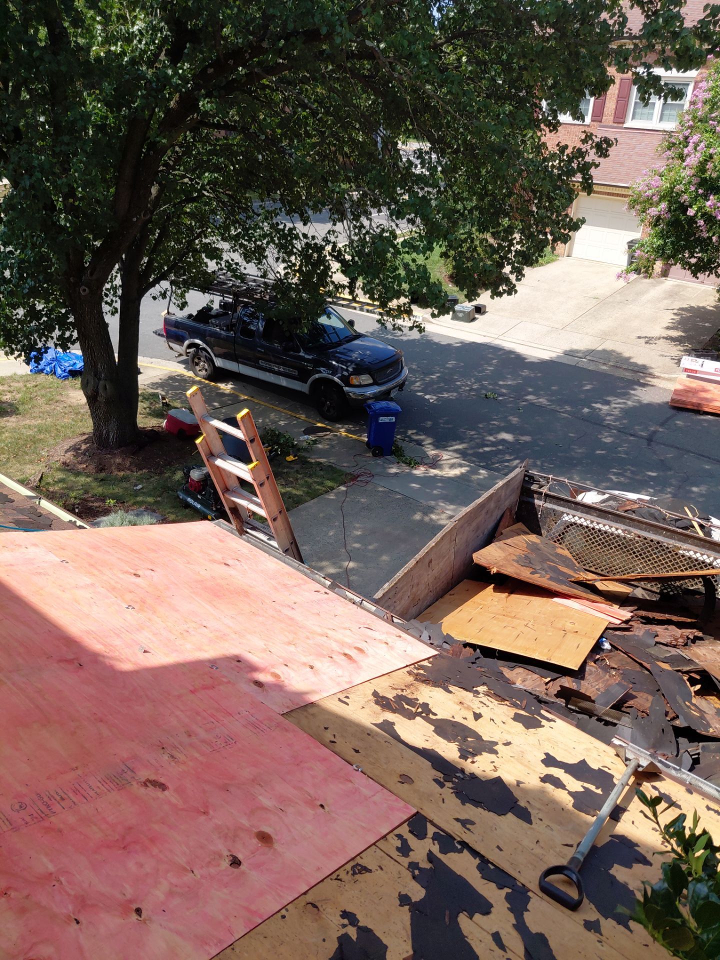 Alexandria: Residential Roof with CertainTeed Landmark Pro in Max Def Burnt Sienna by RM Banning, Inc.