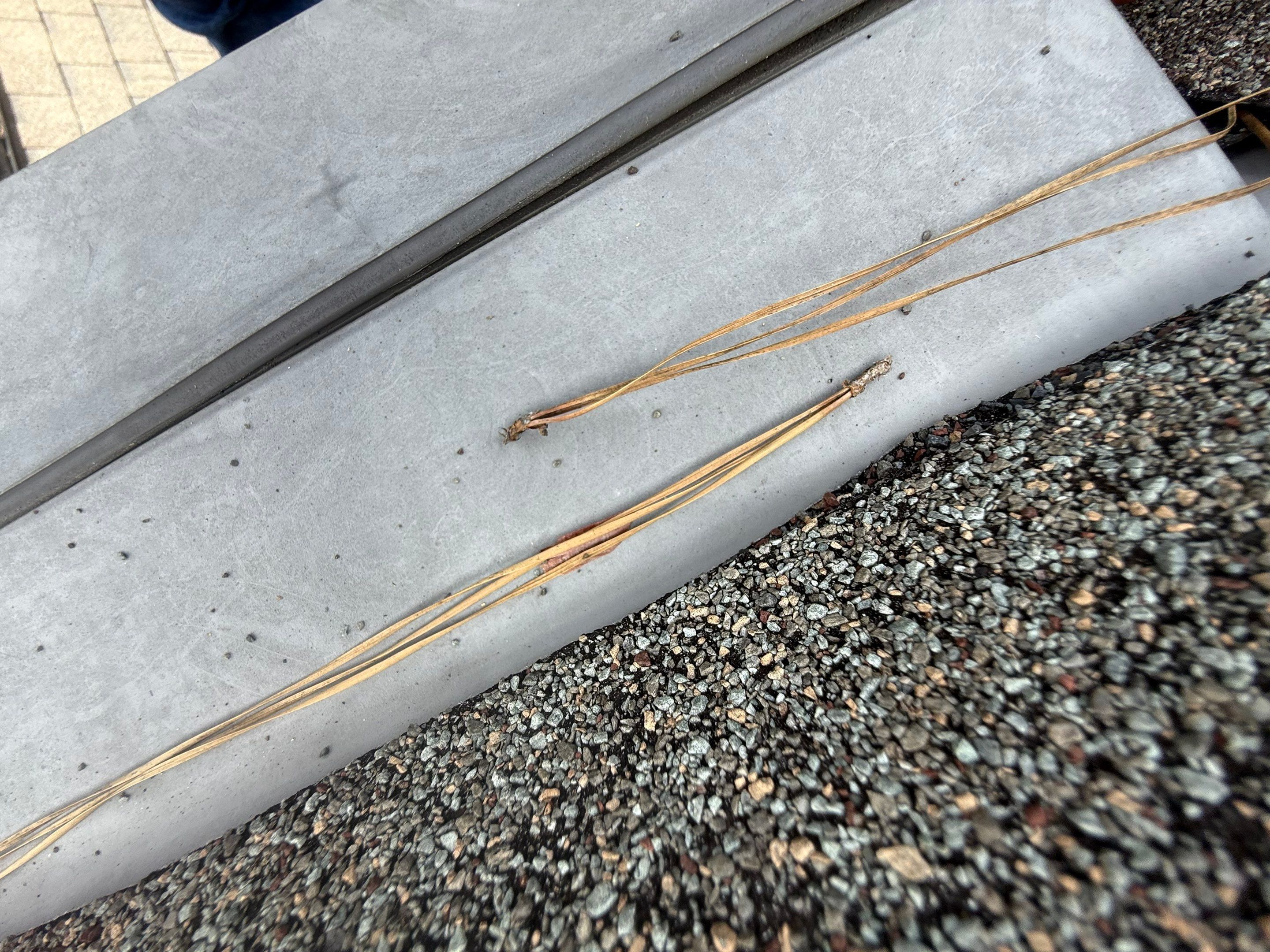 Roof Repair Spring by Roof Repair Company