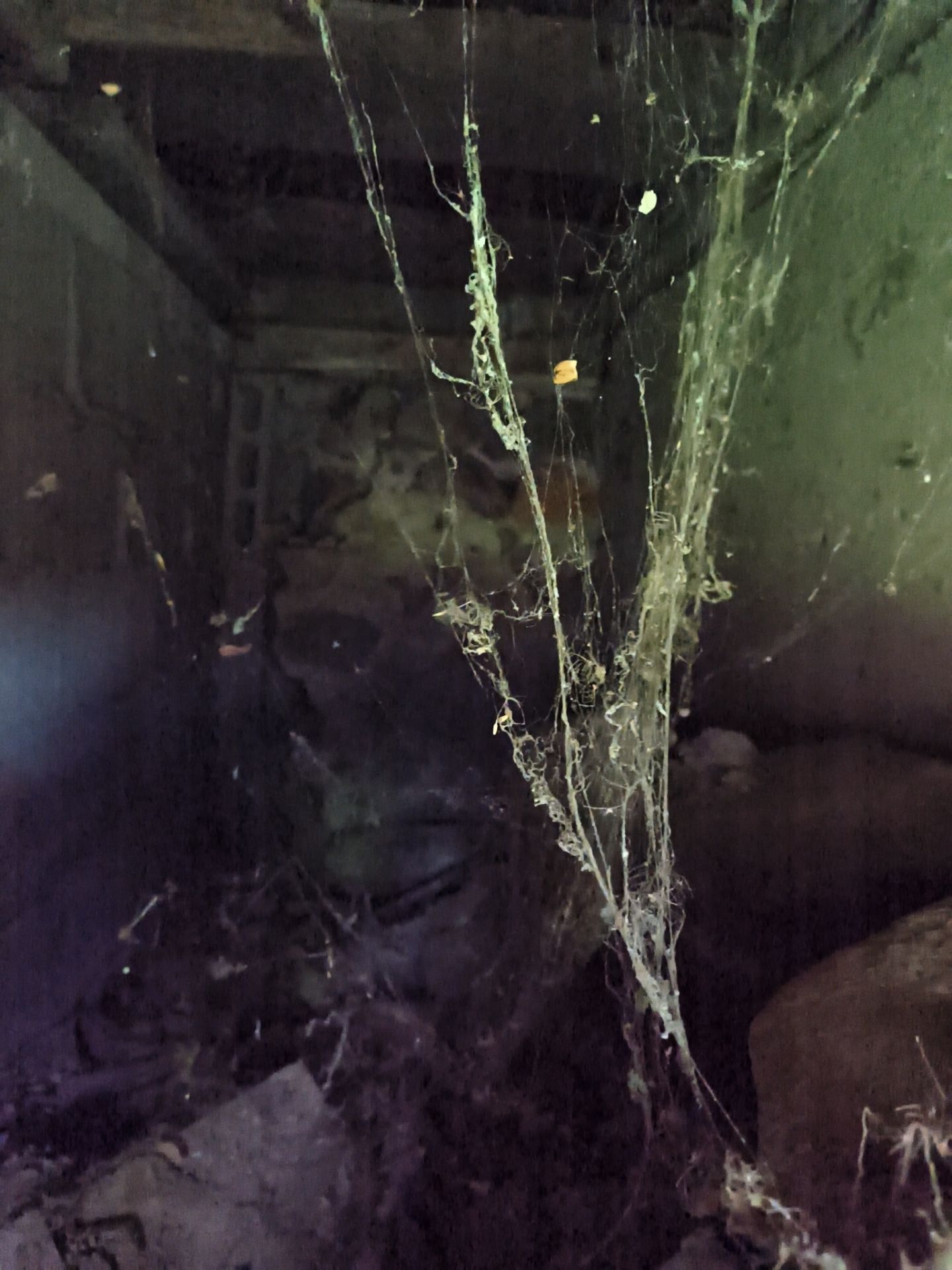 Crawl Space Interior/Exterior Waterproofing by Toledo Basement Repair 