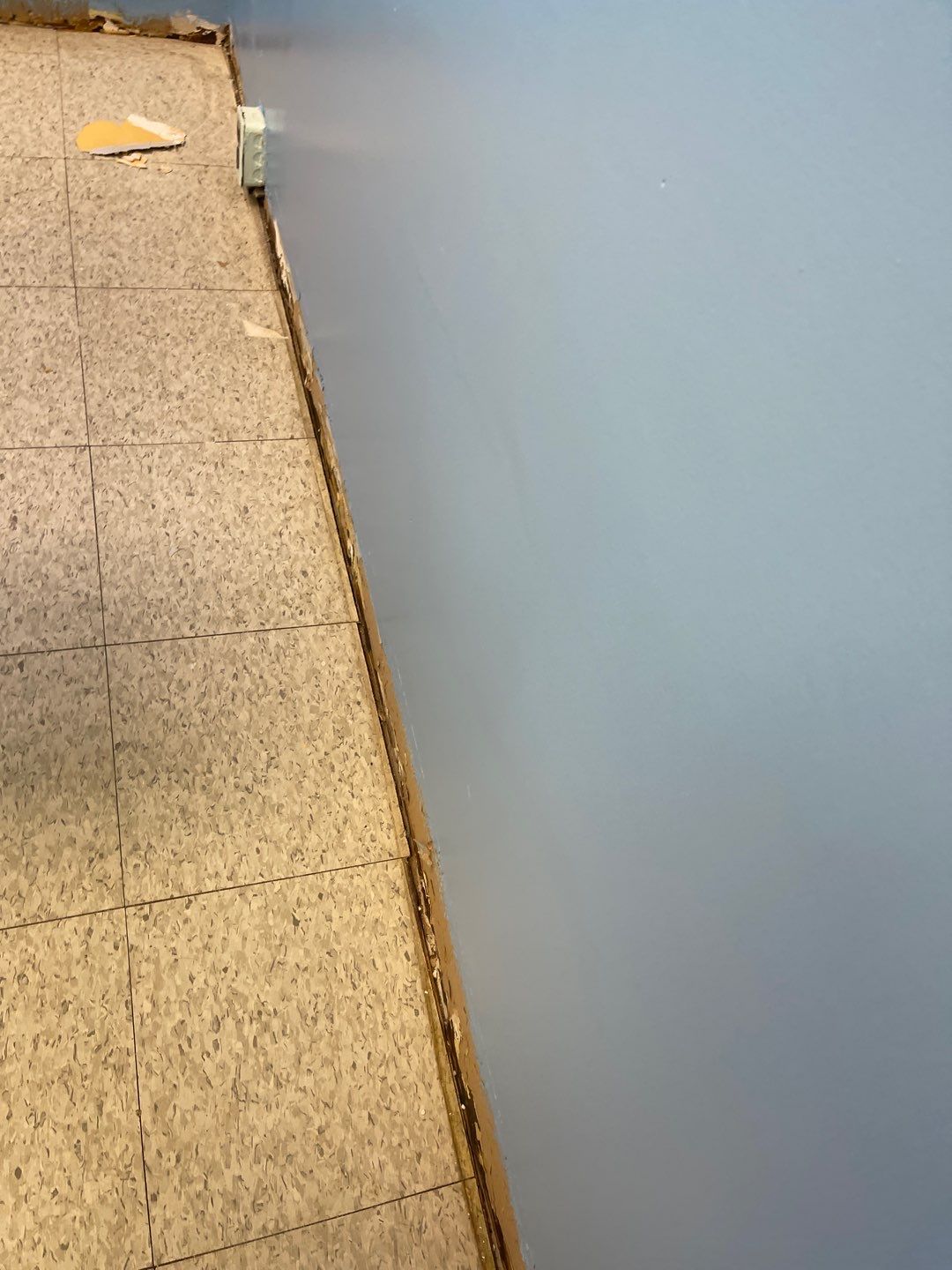 Cat Hospital Project in Pittsburgh by Floors in a Day, Inc