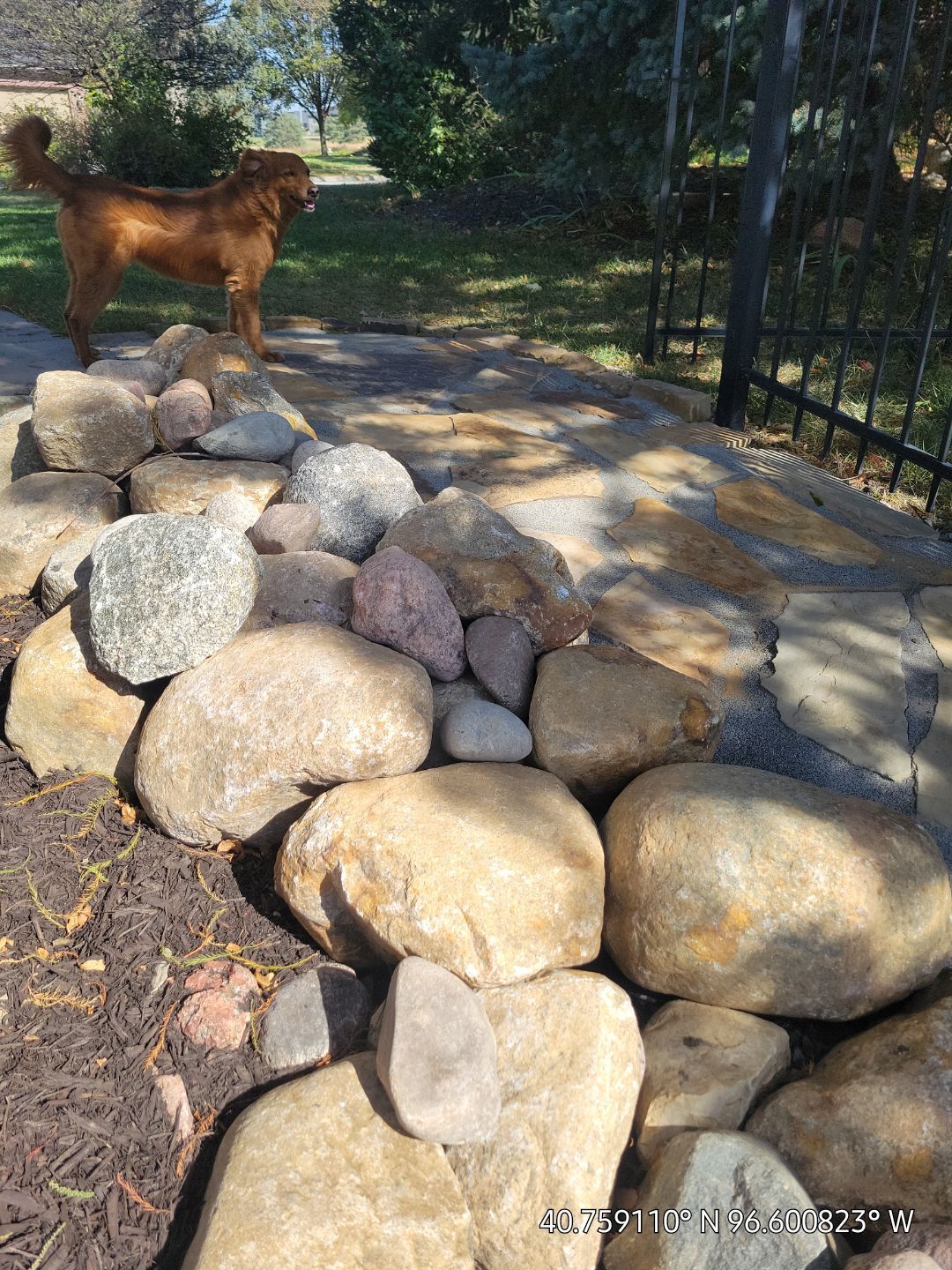 Updated Stone Stepper Path by New Horizon Landscapes