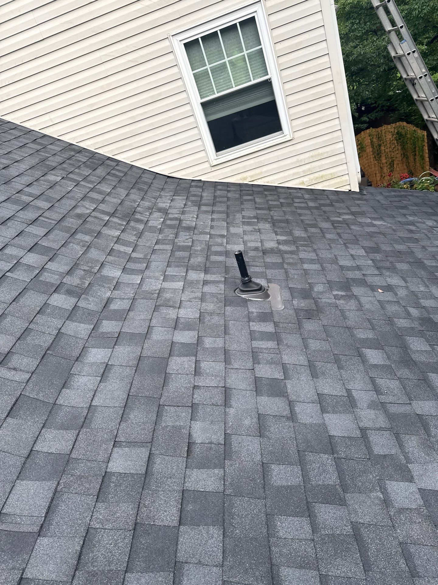 Lorton: Residential Roof with CertainTeed Landmark Pro in Max Def Moire Black by RM Banning, Inc.